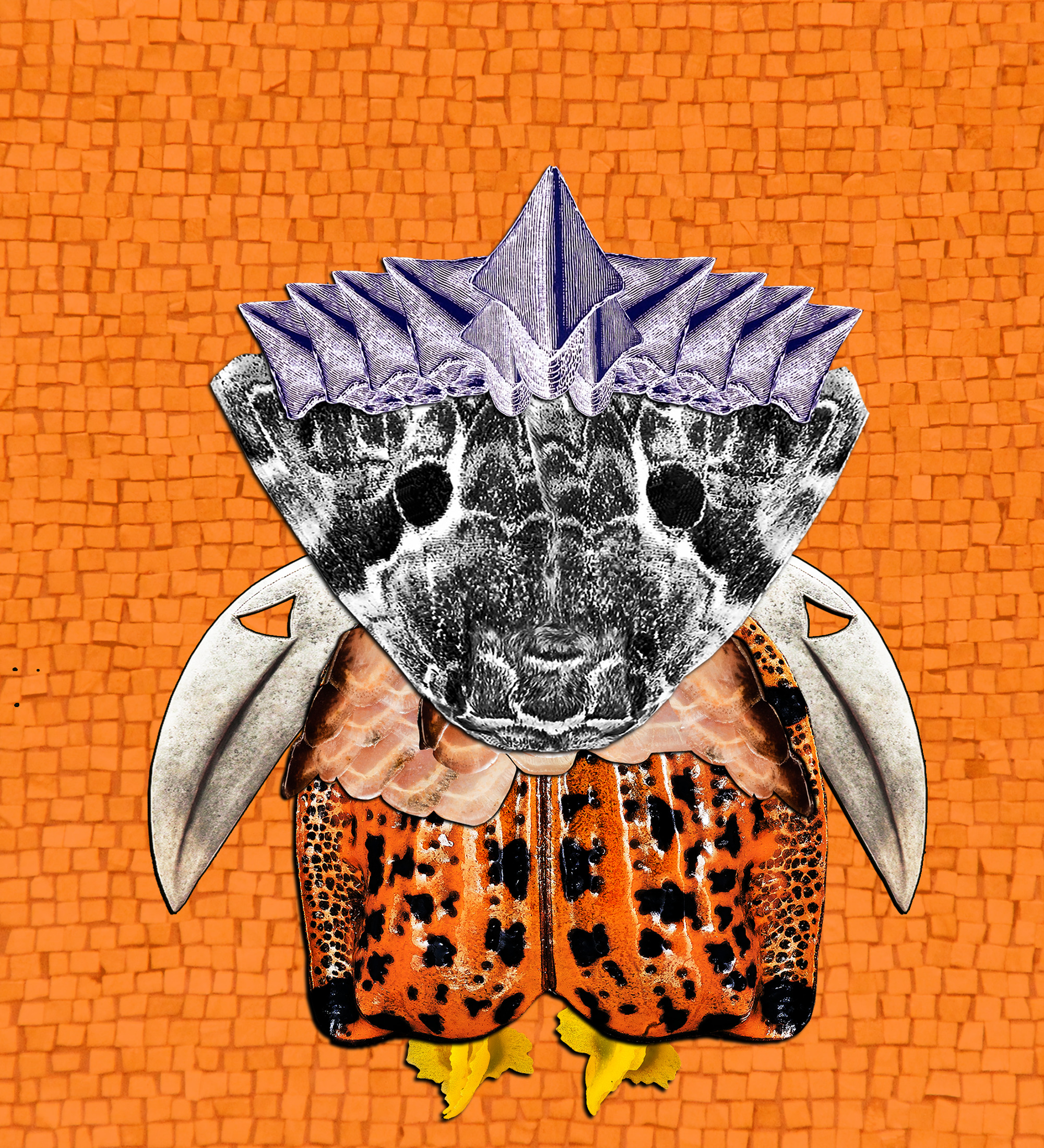 Hopium Warriors #228 NFT on Algorand