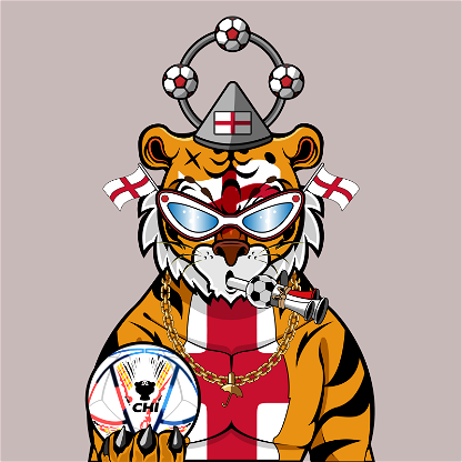 Football TigerChi #0752