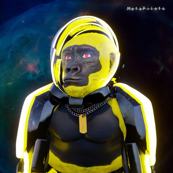 An image of MetaPilot#21