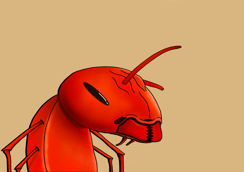 Algo Ant 51 NFT on Algorand