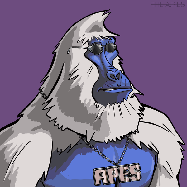 Image of APEs #34