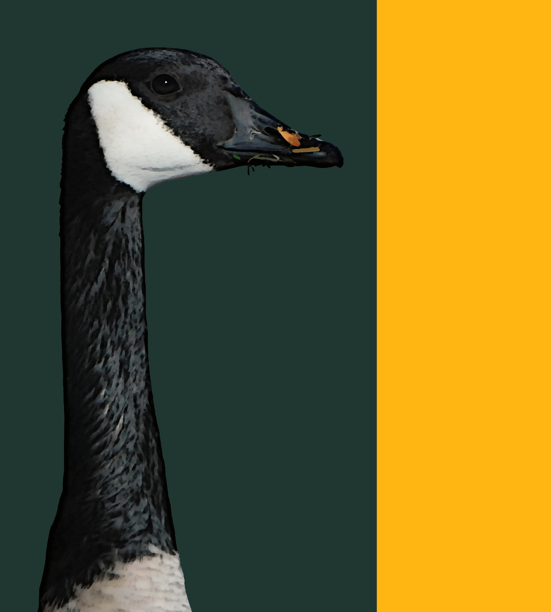 AlgoGeese #23 NFT on Algorand