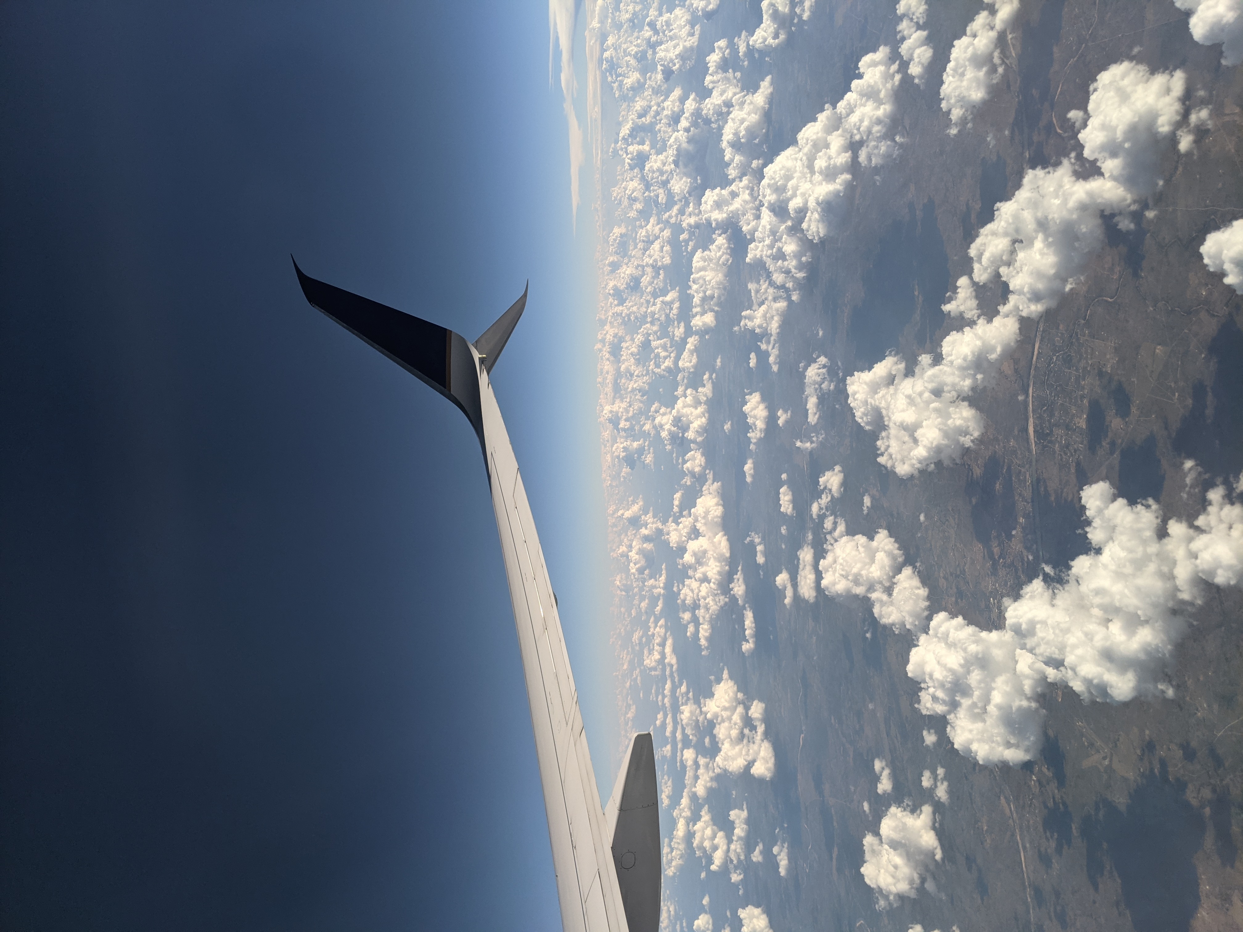 Above the Fray NFT on Algorand