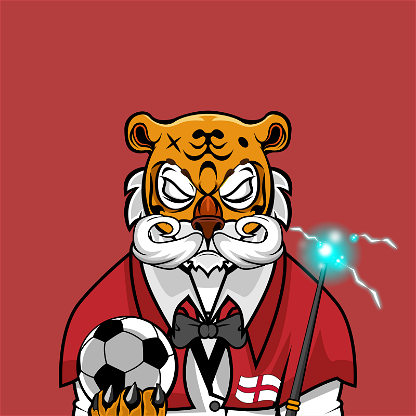 Football TigerChi #0137