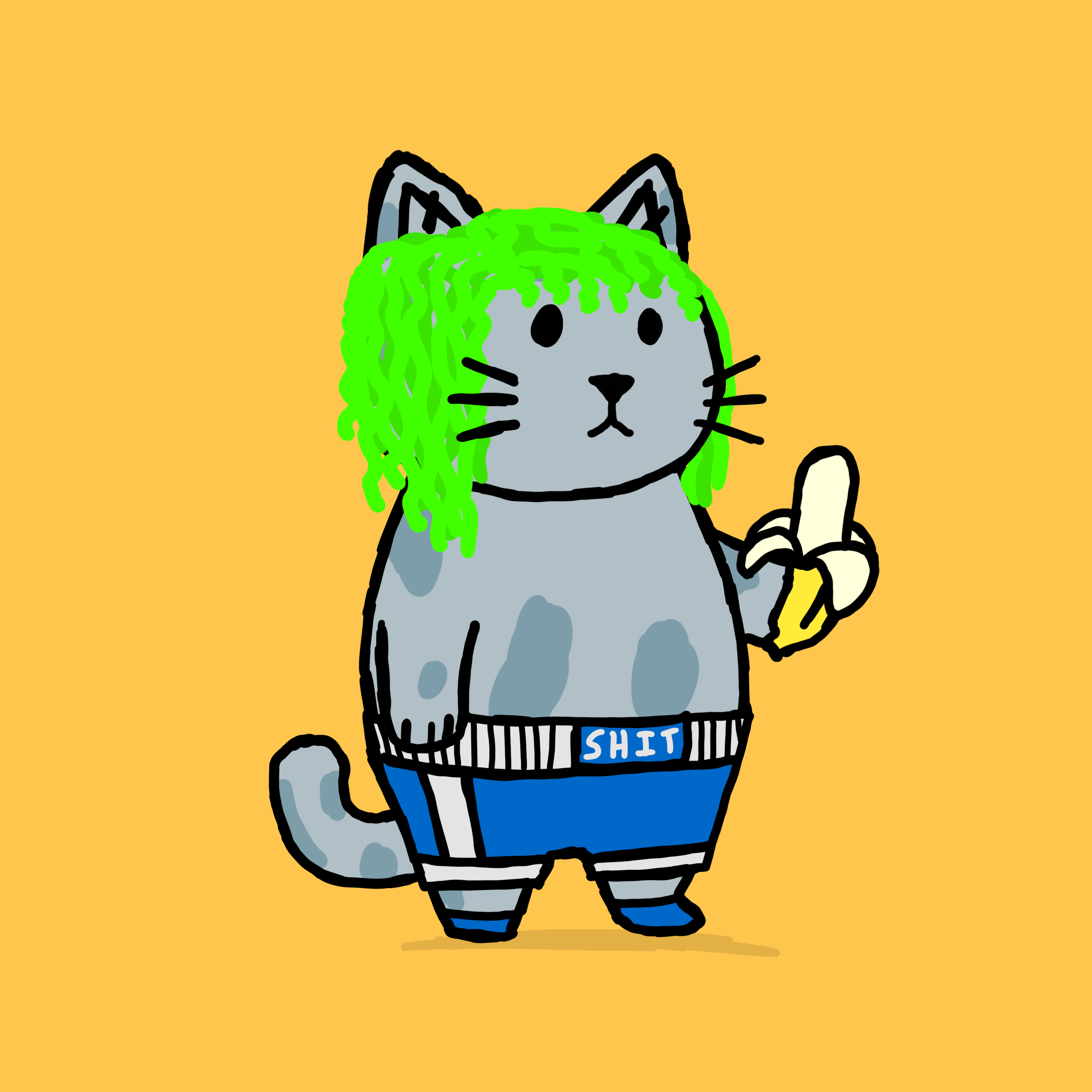 SK4L #355 NFT on Algorand