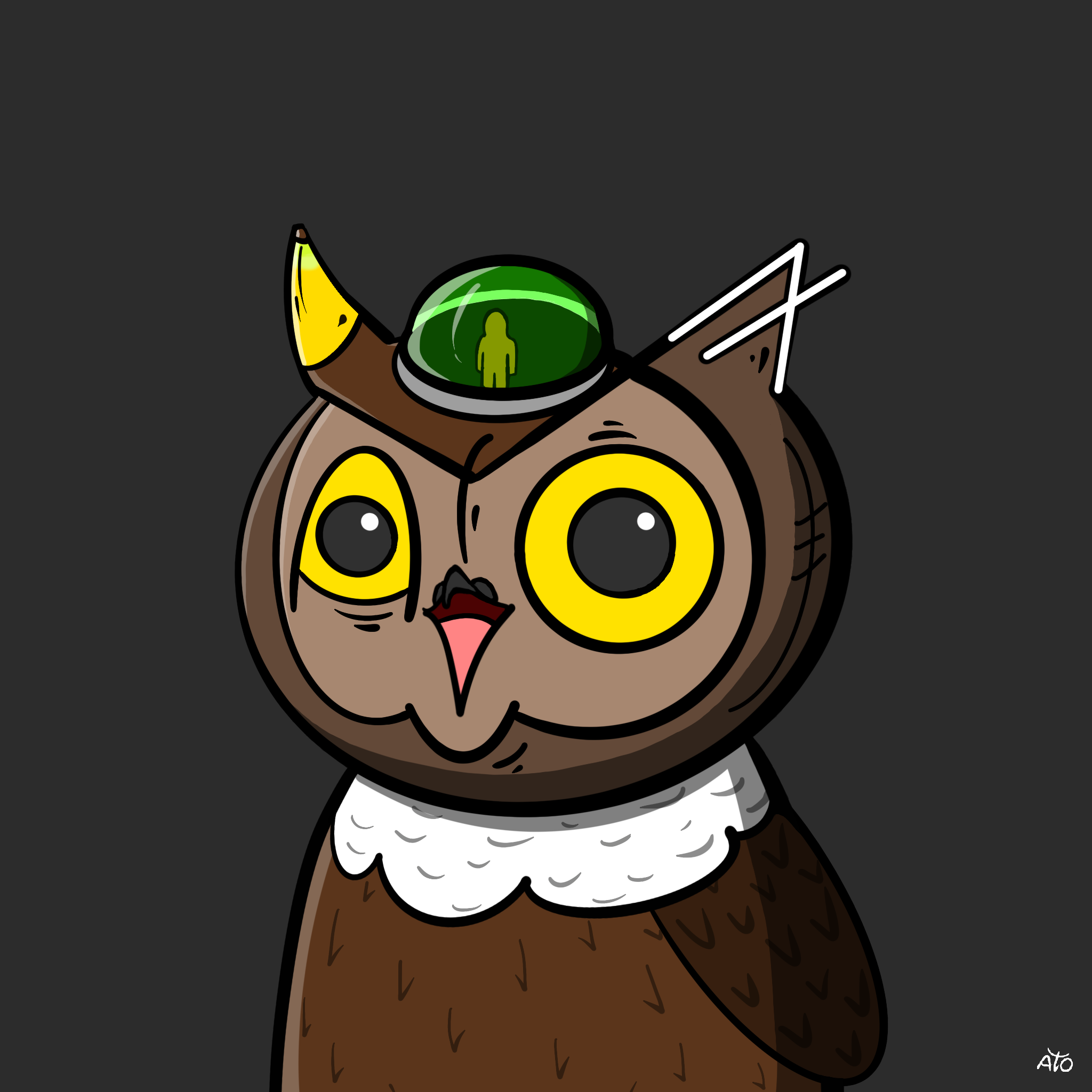 AOWL #1618 NFT on Algorand