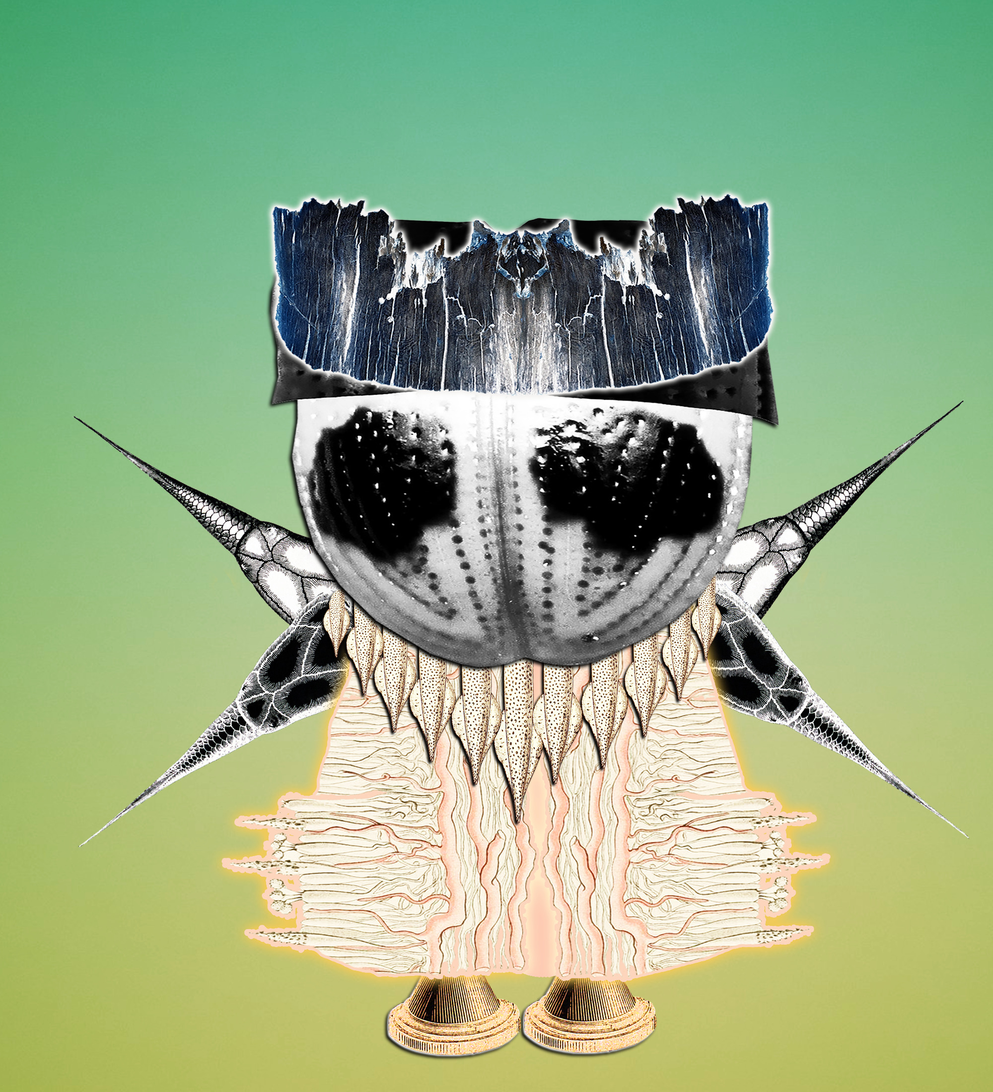 Hopium Warriors #288 NFT on Algorand