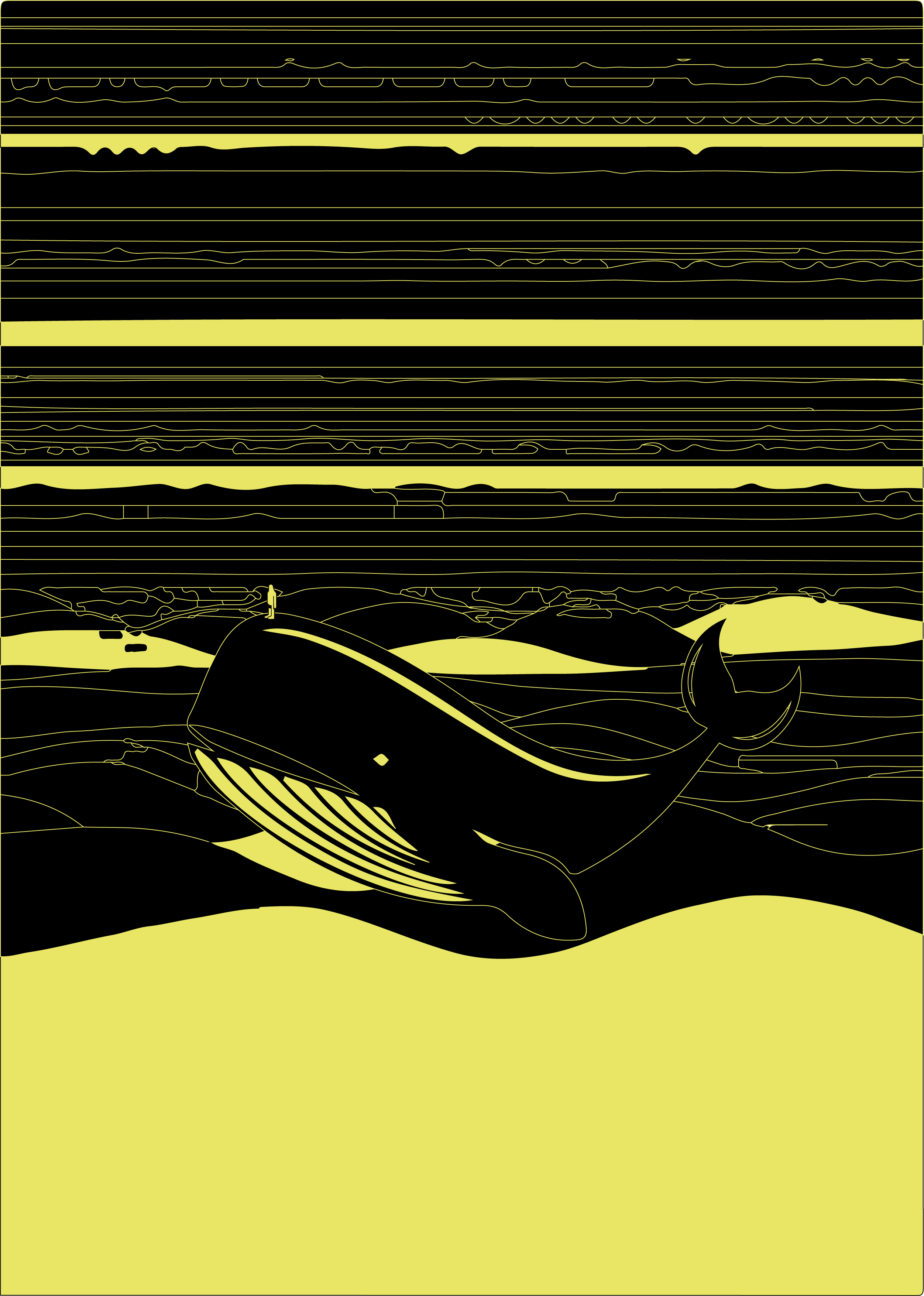 Tiny Whale NFT on Algorand