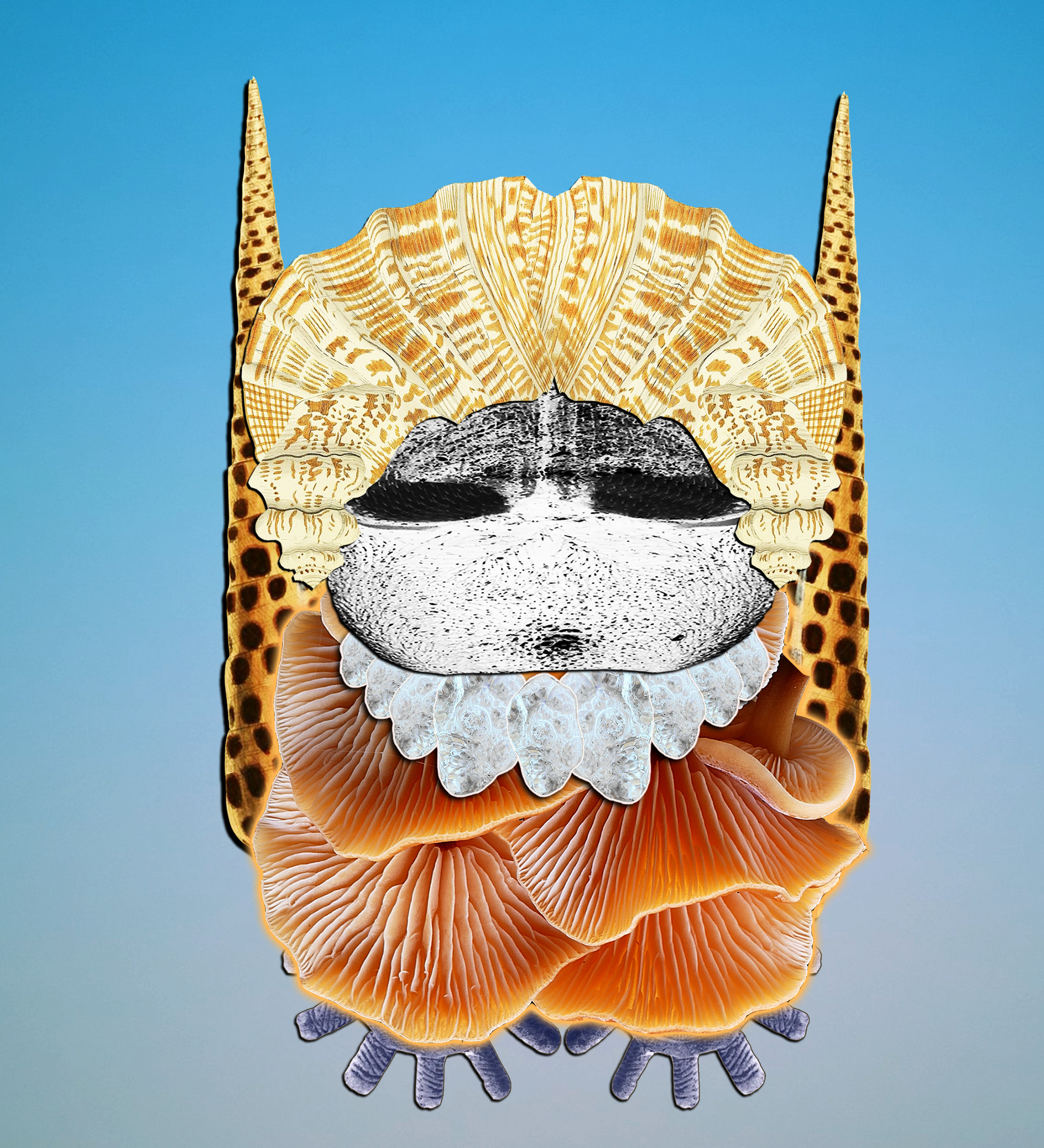 Hopium Warriors #170 NFT on Algorand