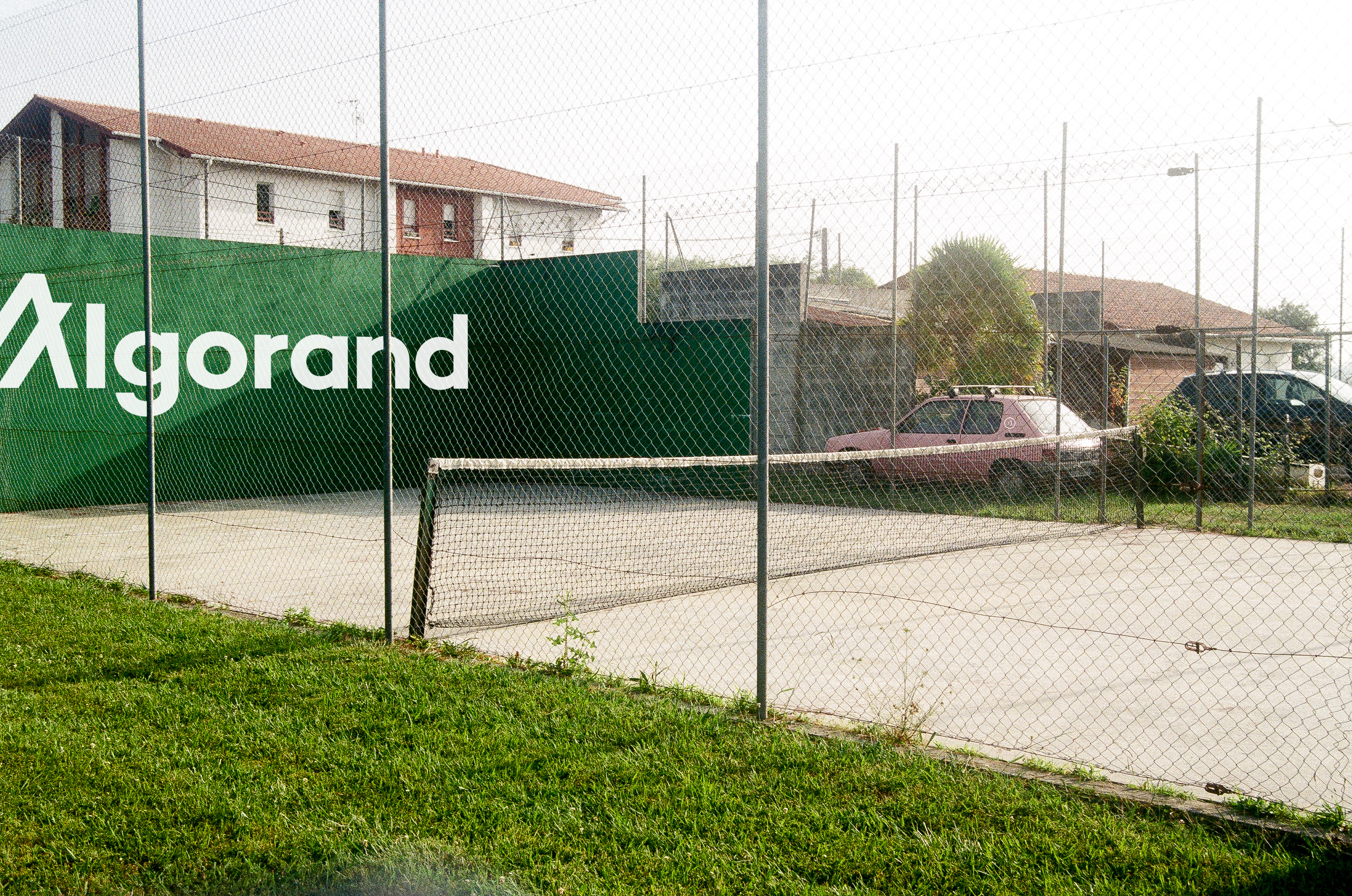 tennis NFT on Algorand