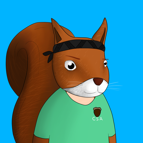 An image of Crypto Squirrel Association #5