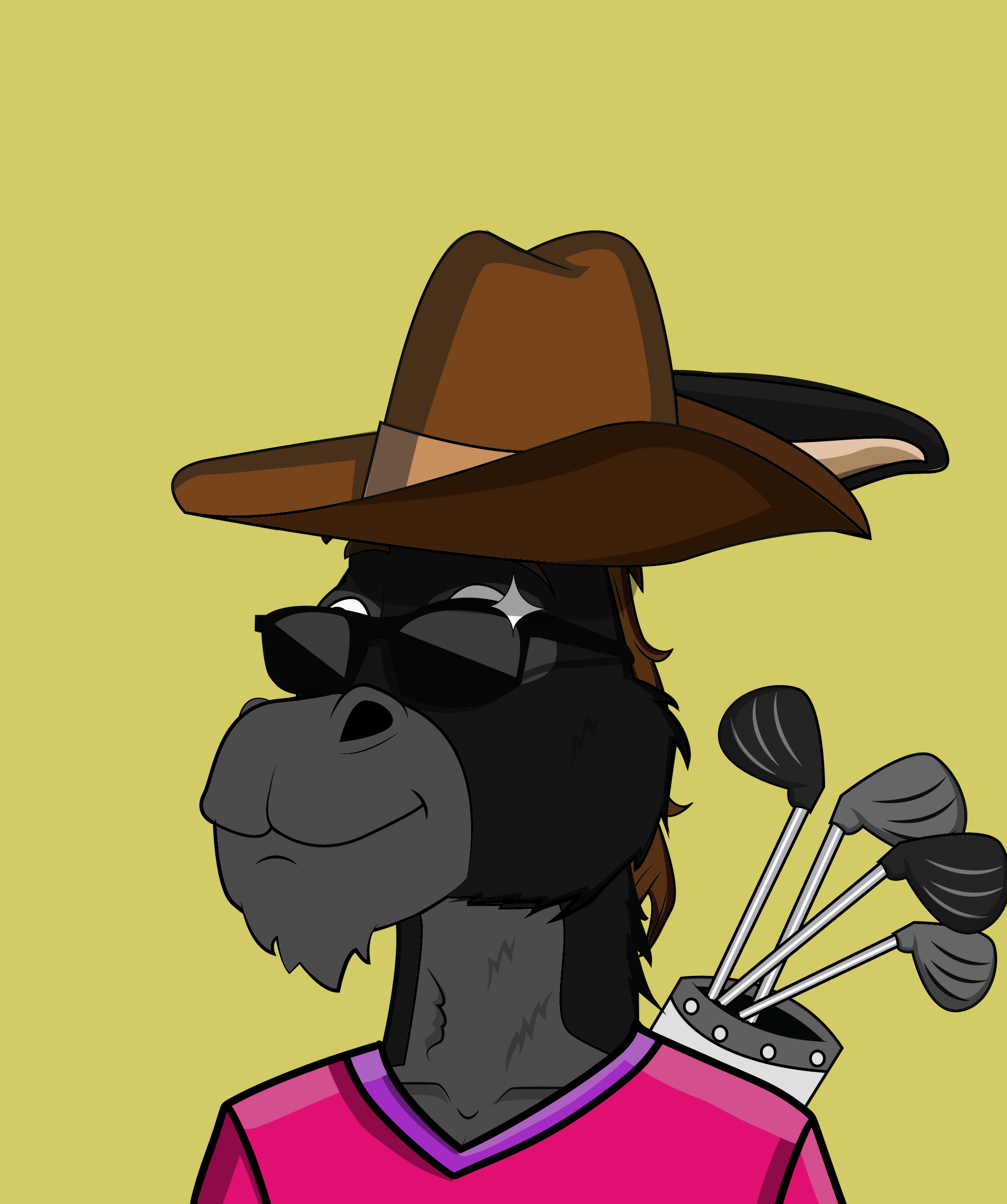 Donkey 2441 NFT on Algorand