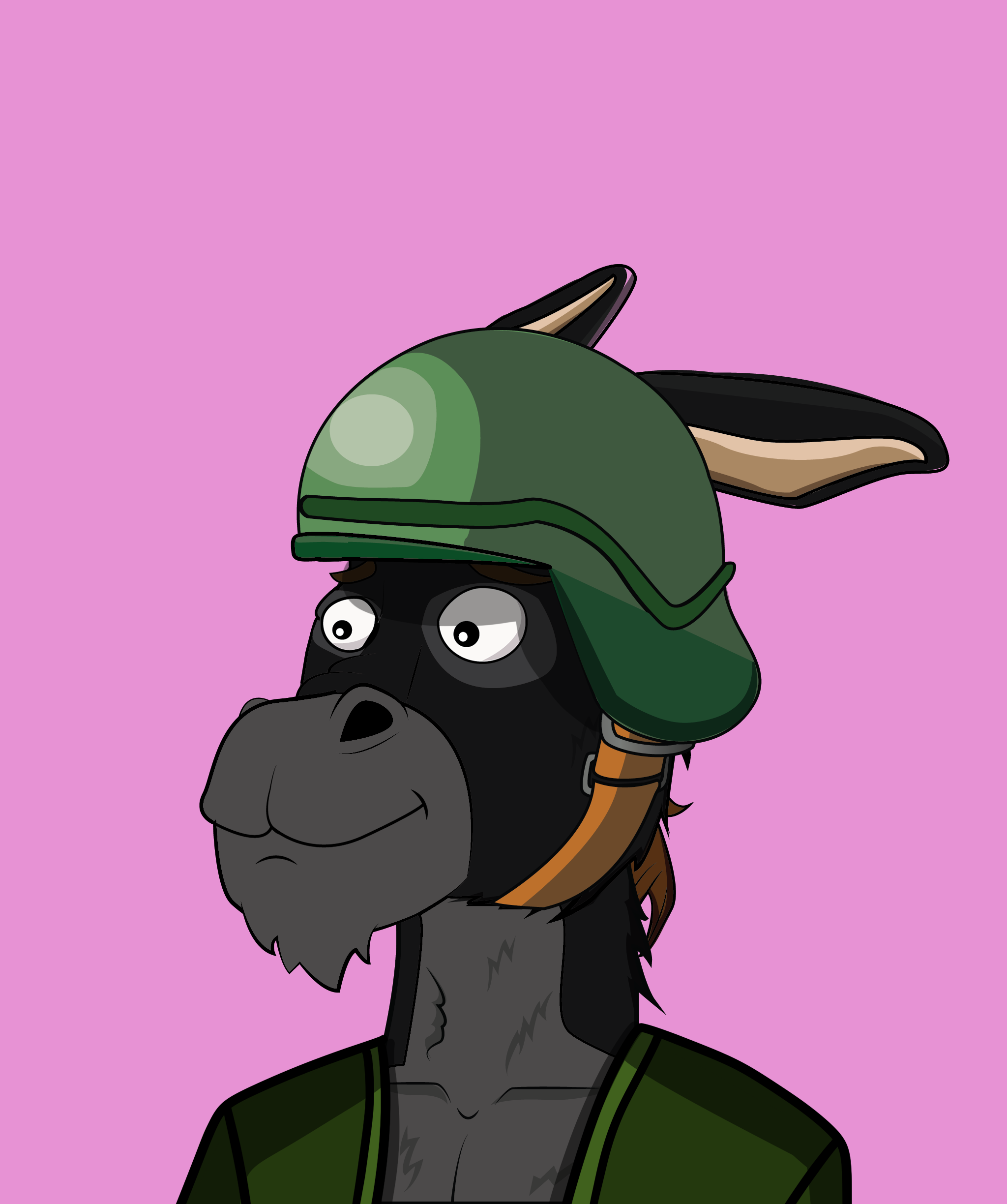 Donkey 2135 NFT on Algorand