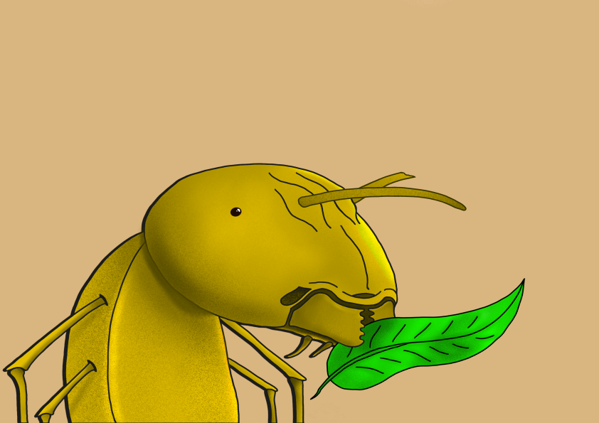 Algo Ant 42 NFT on Algorand