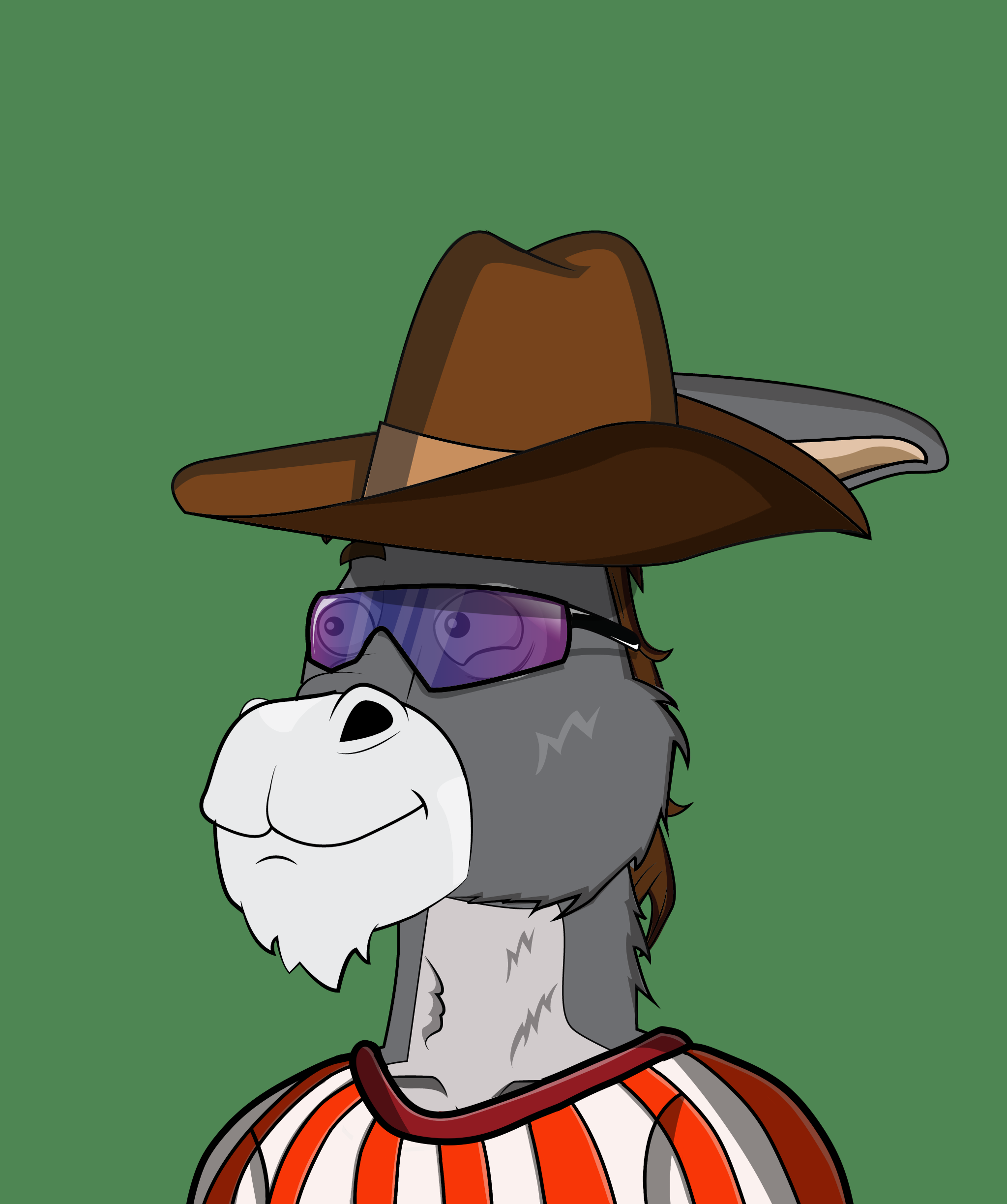Donkey 2797 NFT on Algorand
