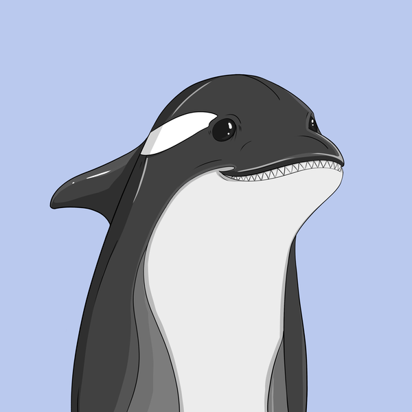 Orcas Odyssey