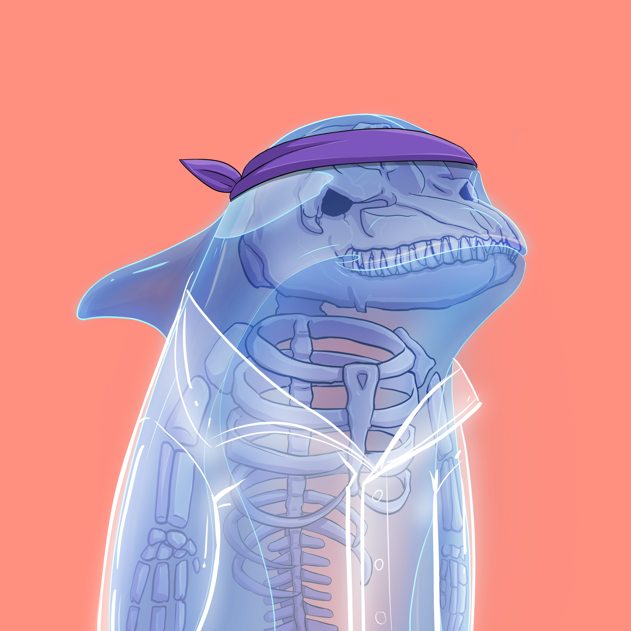 ORCA 1043 NFT on Algorand