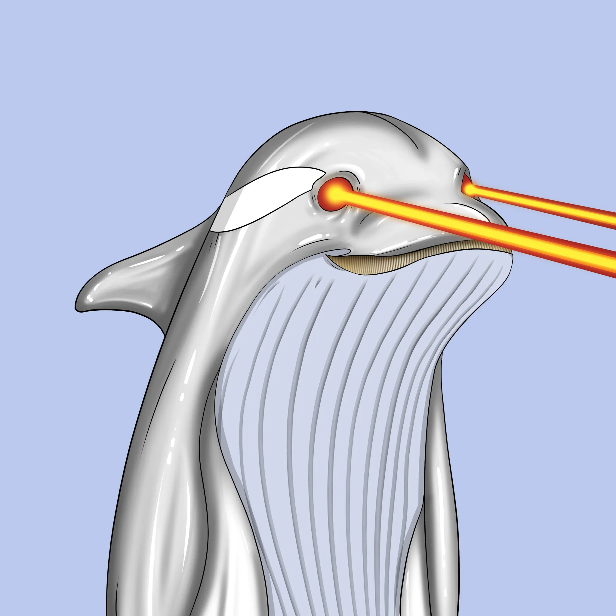 ORCA 1081 NFT on Algorand