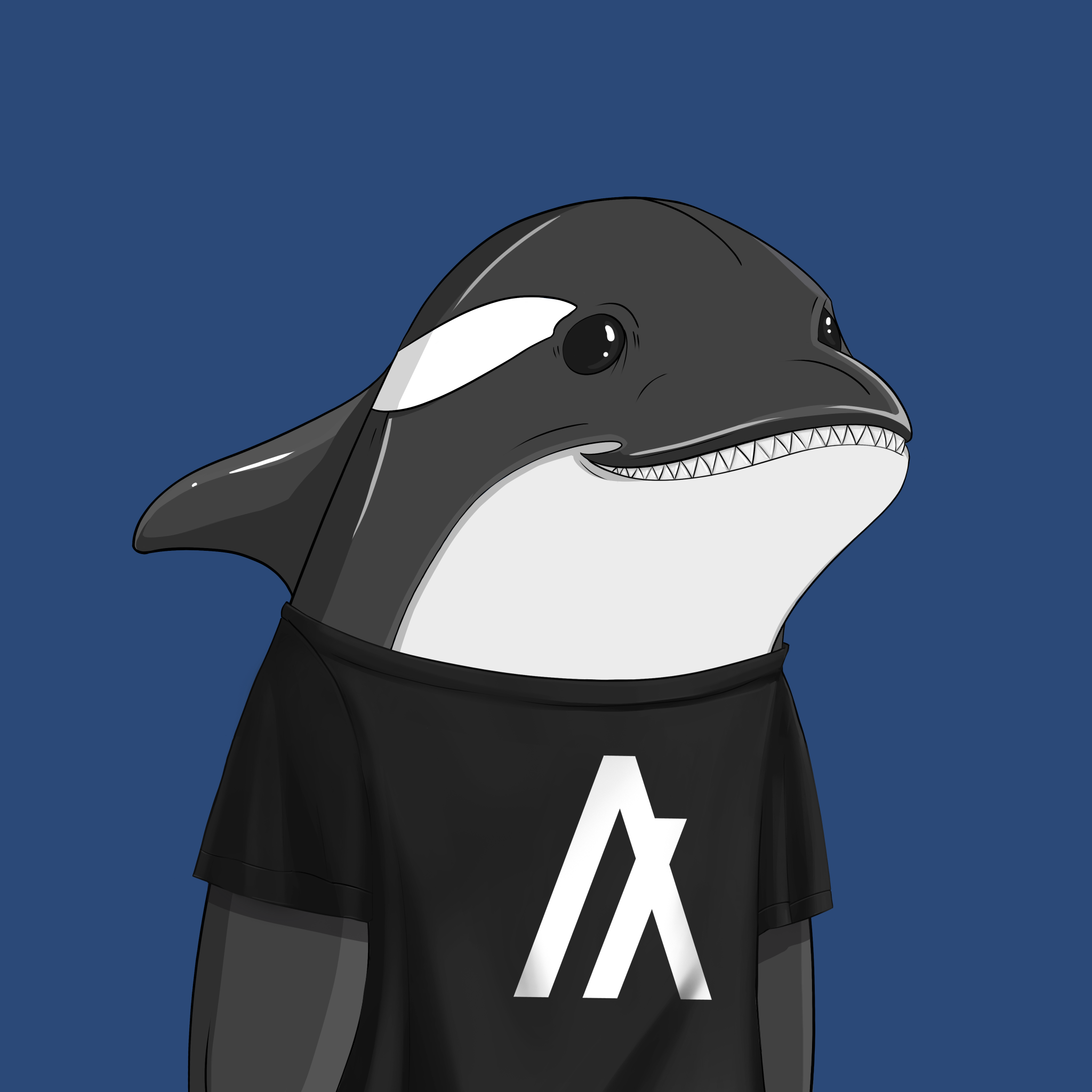 ORCA 1607 NFT on Algorand