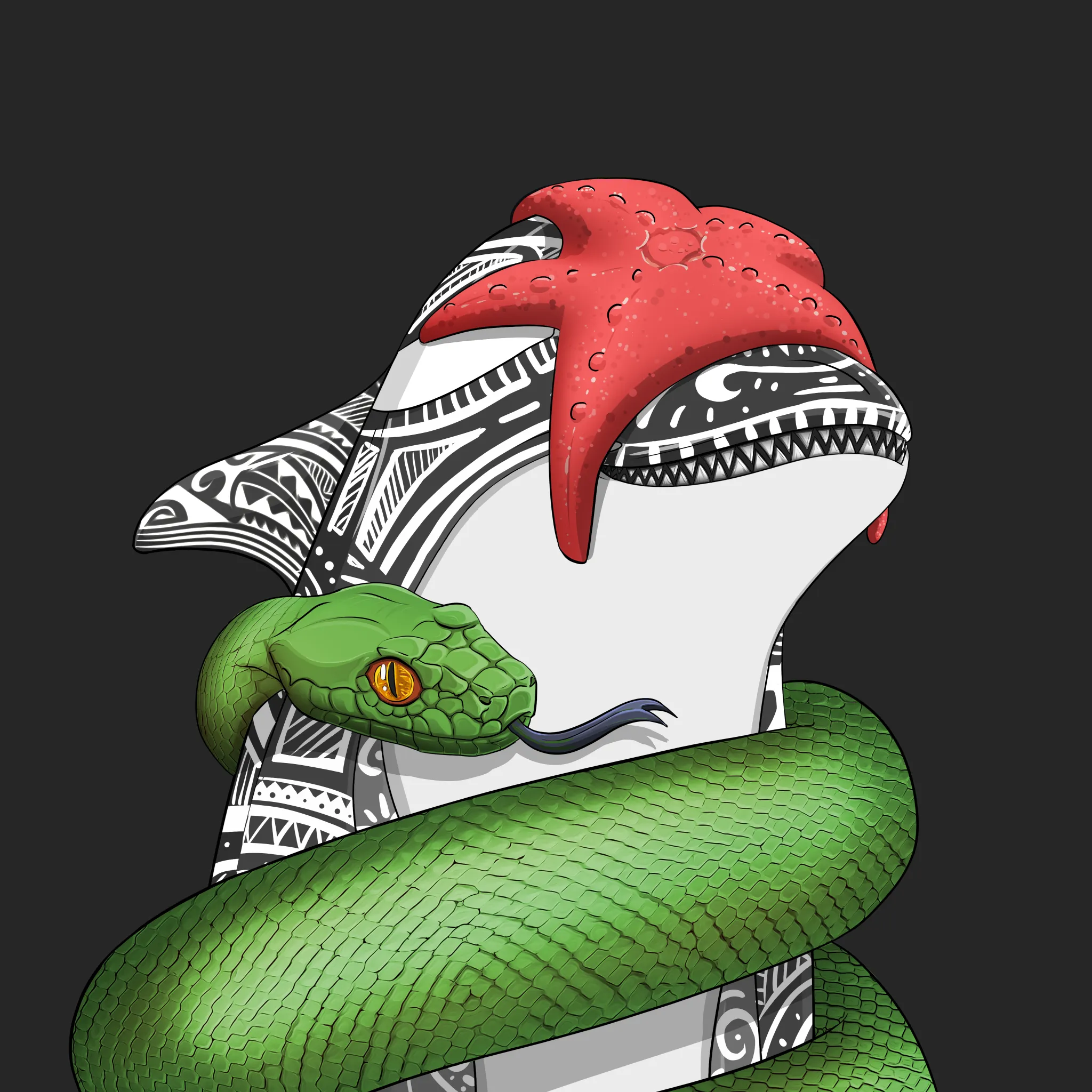 ORCA 1635 NFT on Algorand