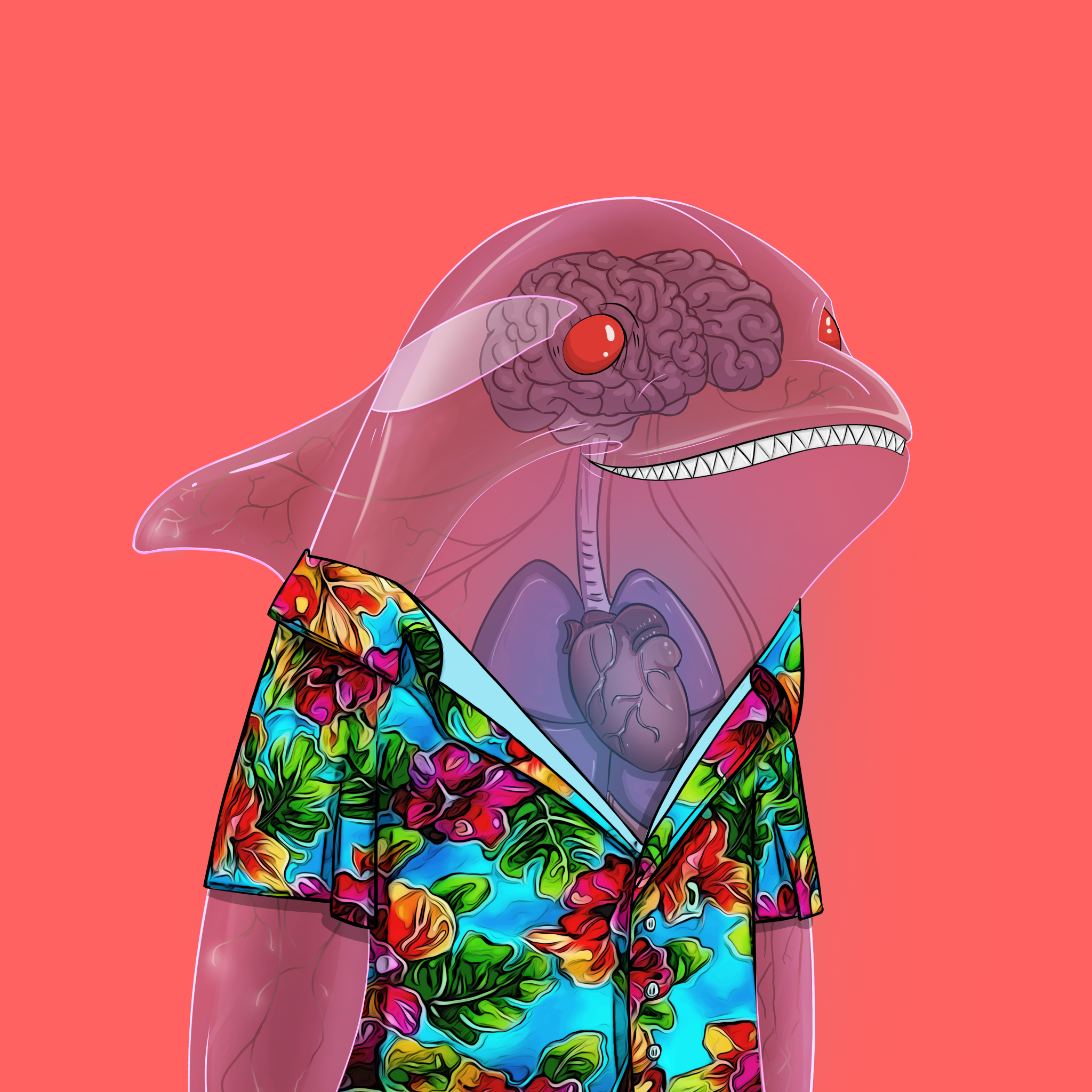 ORCA 1697 NFT on Algorand