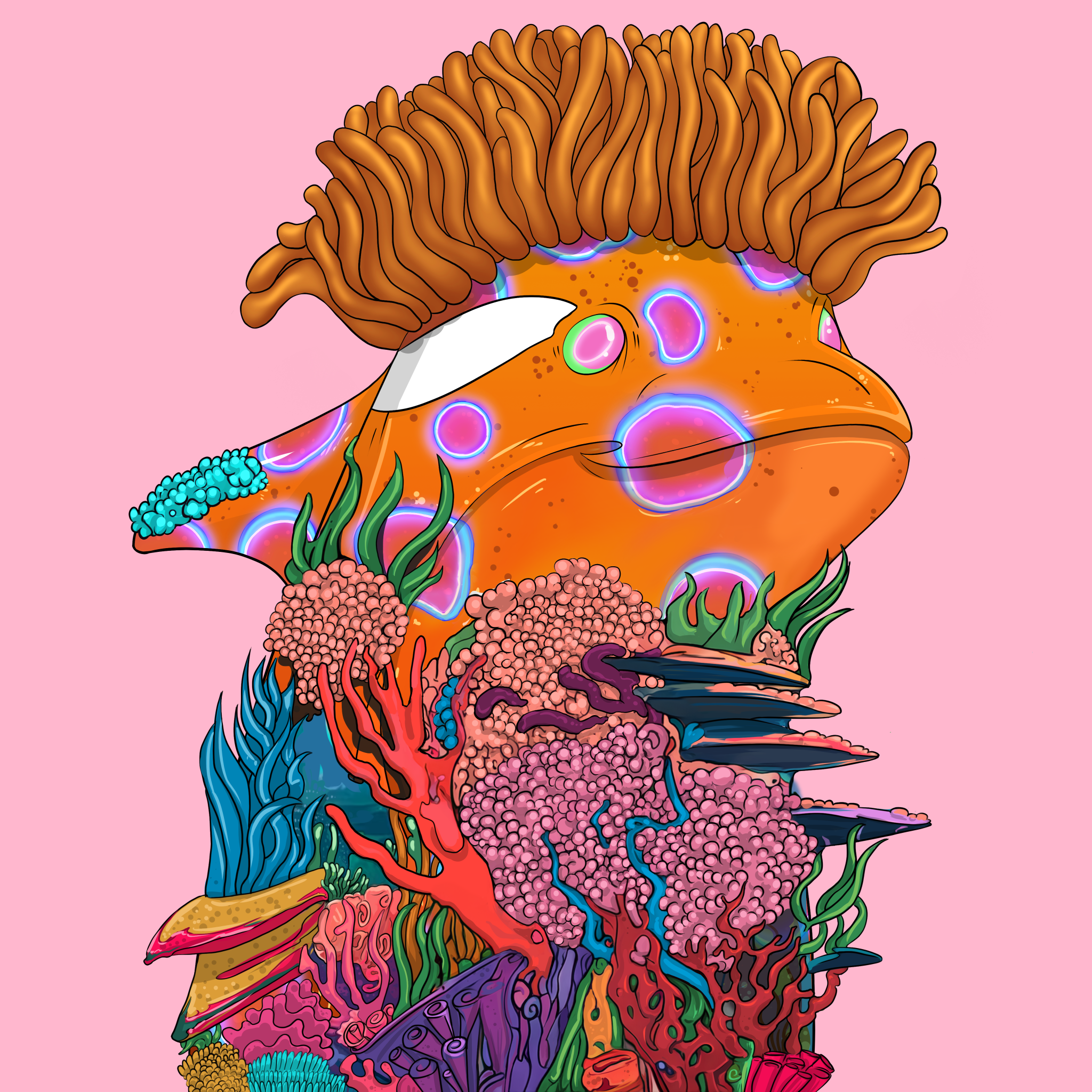 ORCA 1793 NFT on Algorand