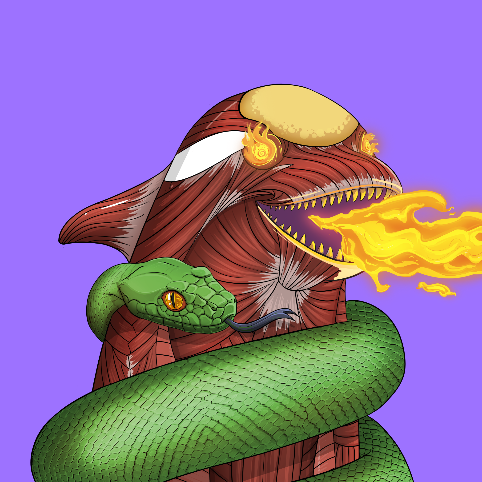 ORCA 1807 NFT on Algorand