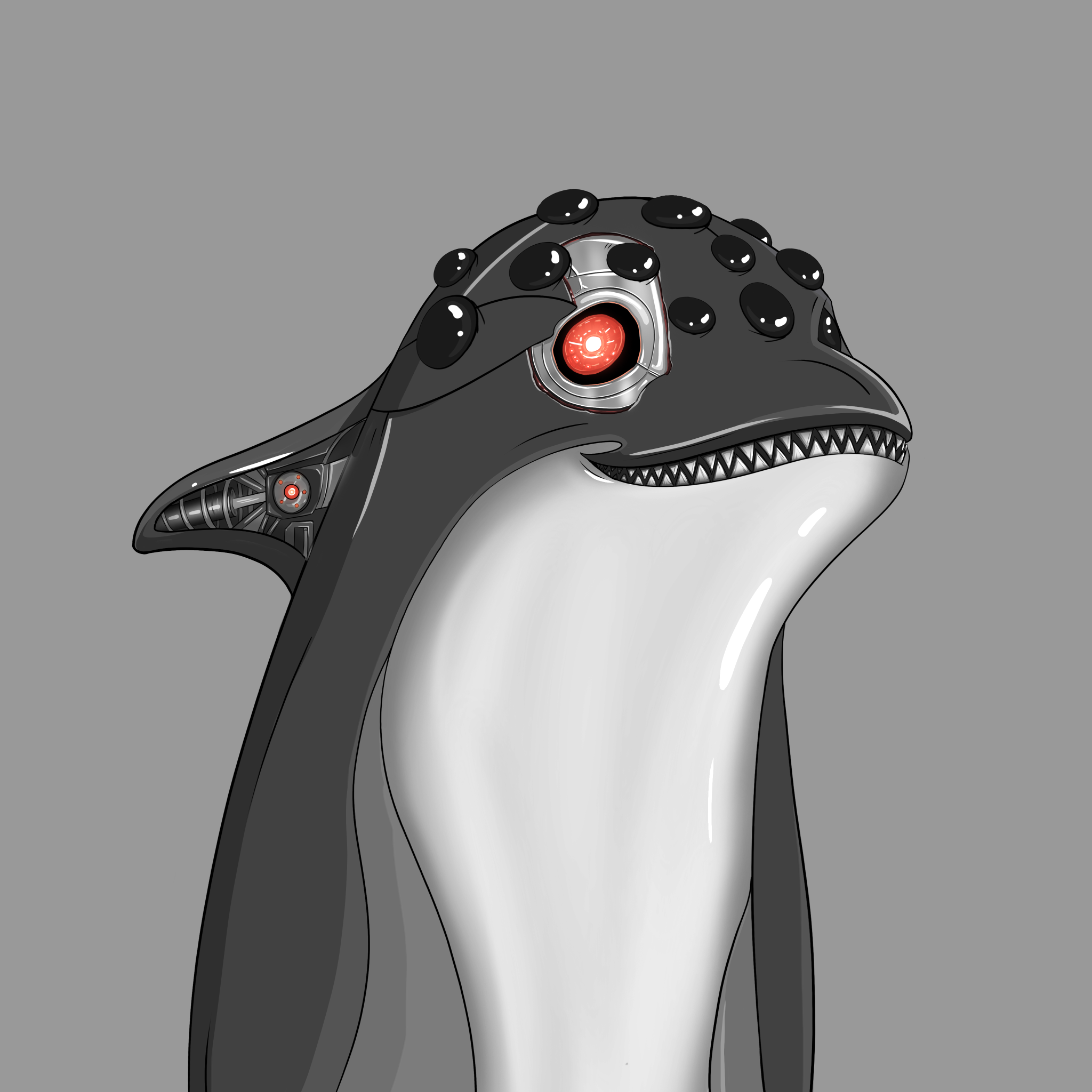 ORCA 2433 NFT on Algorand