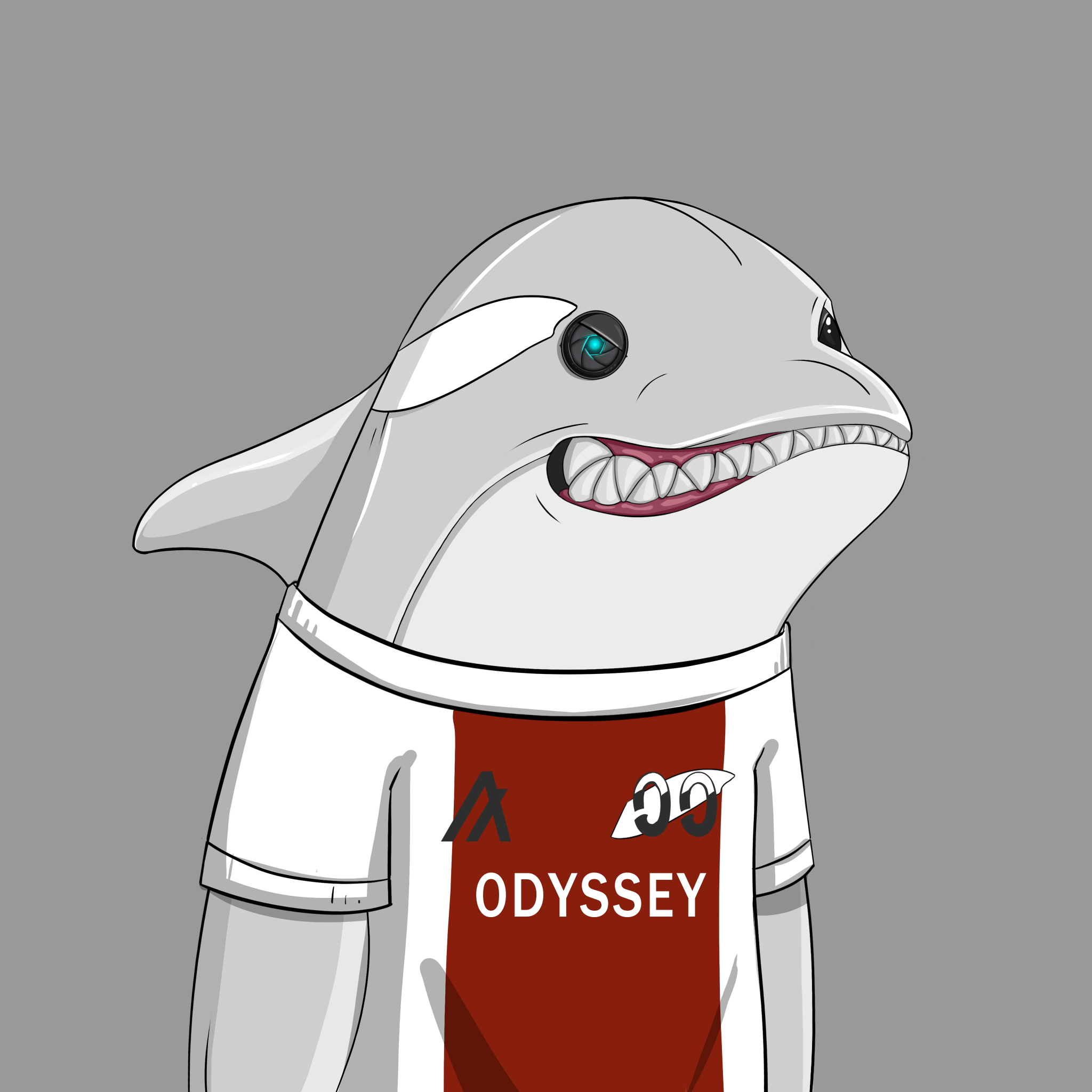 ORCA 355 NFT on Algorand