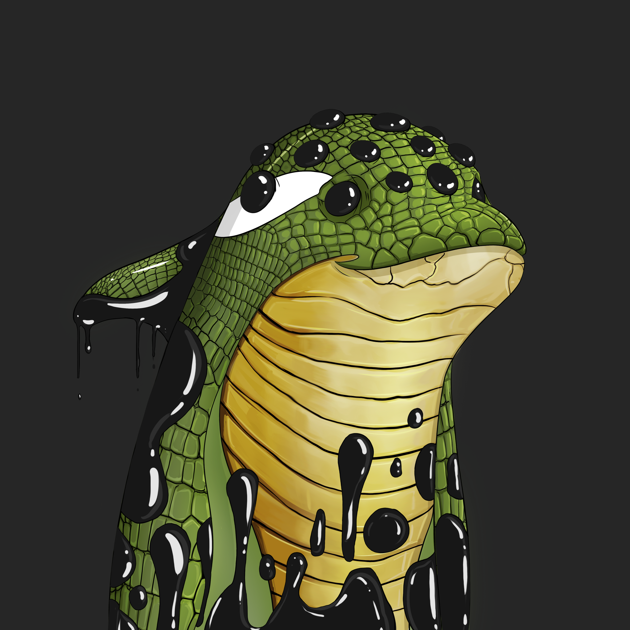 ORCA 358 NFT on Algorand