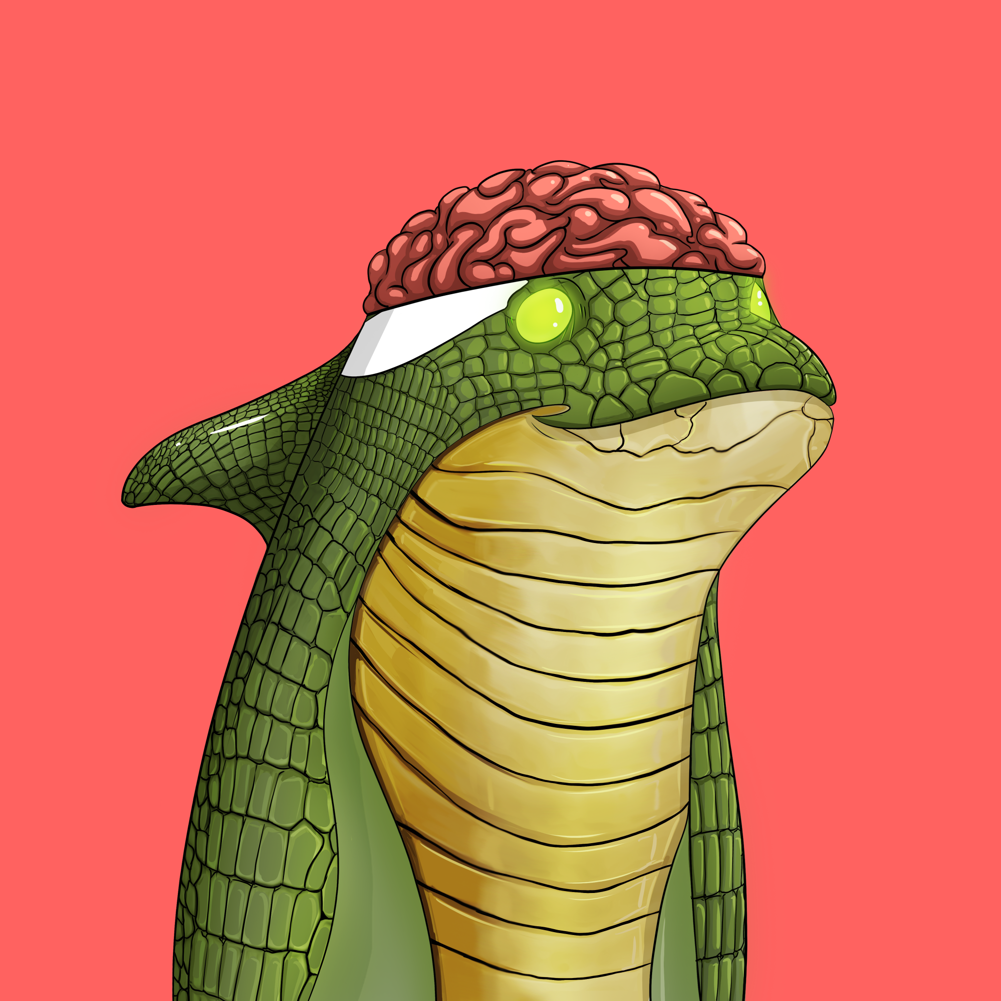 ORCA 685 NFT on Algorand