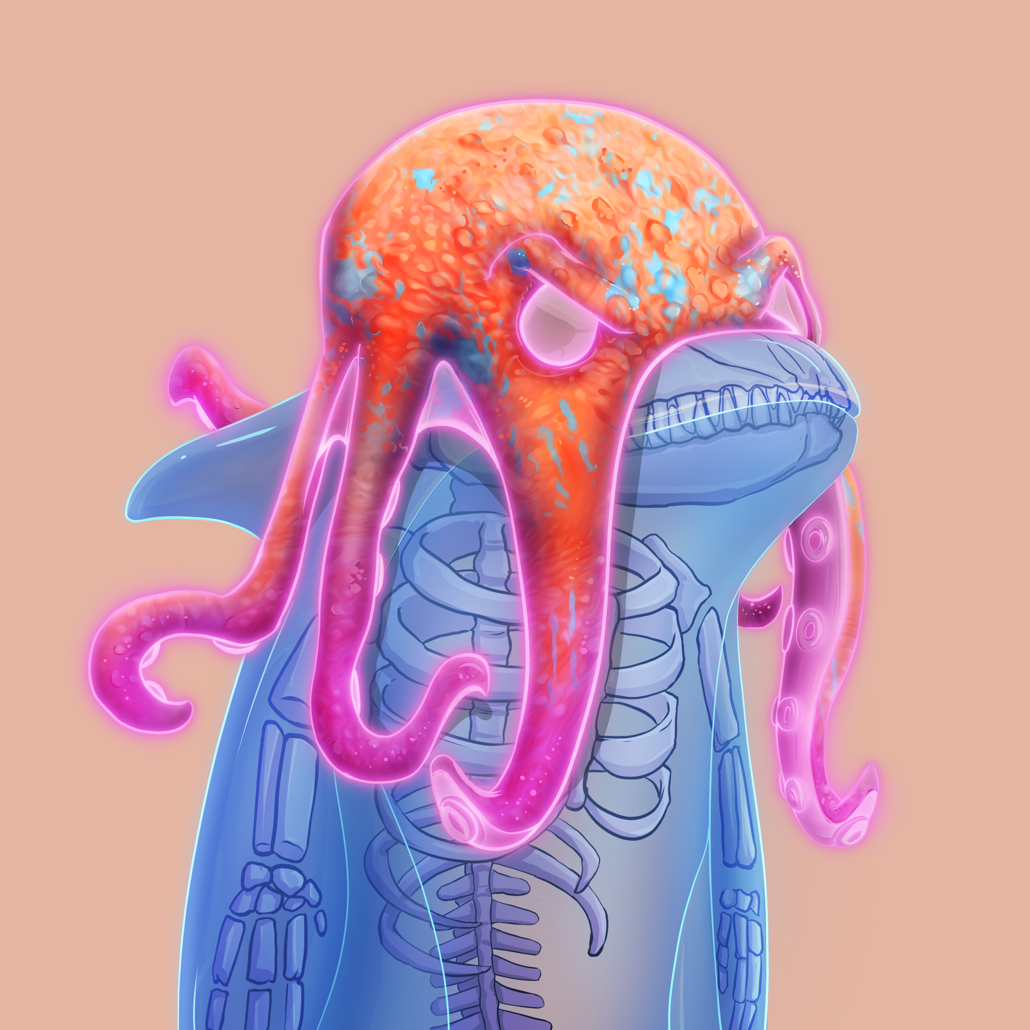 ORCA 843 NFT on Algorand