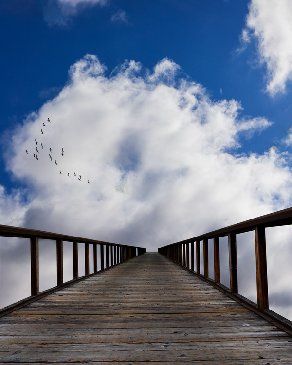 An image of Bridge to Clouds