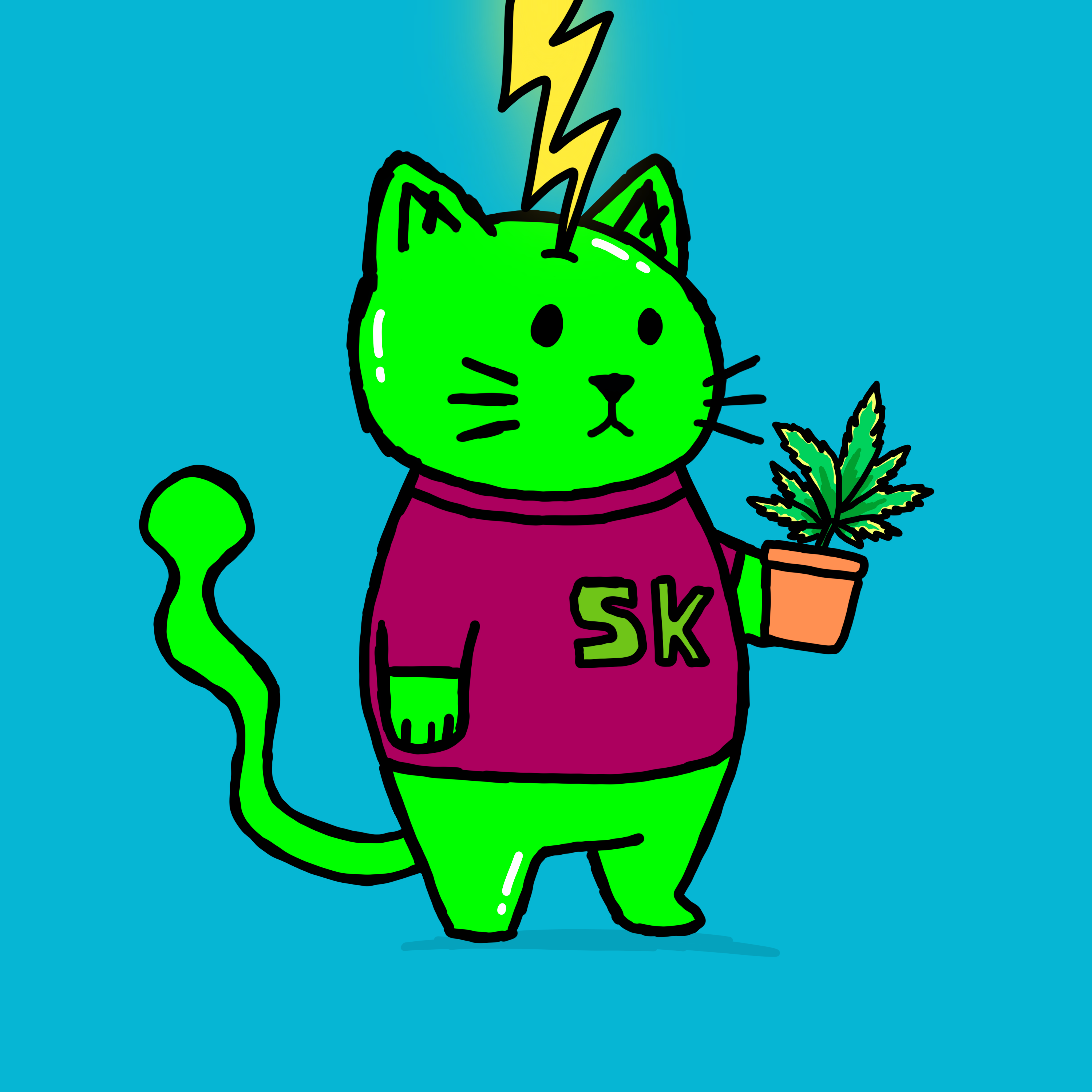 SK4L #669 NFT on Algorand