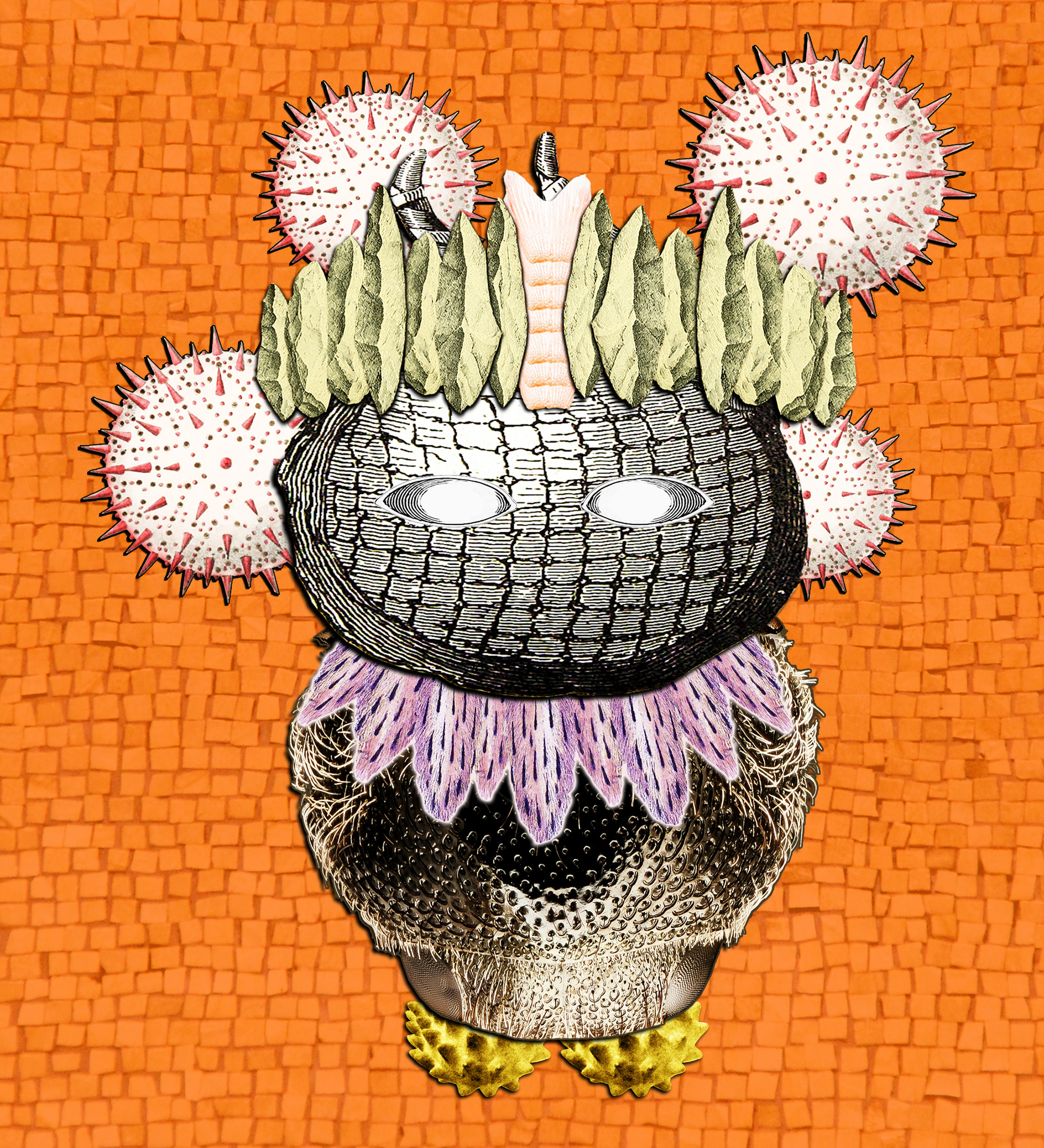 Hopium Warriors #208 NFT on Algorand