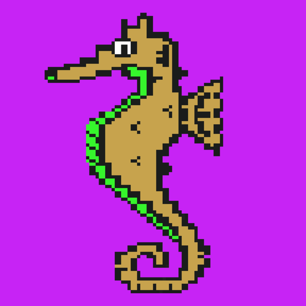 Image of Algo Seahorse #70