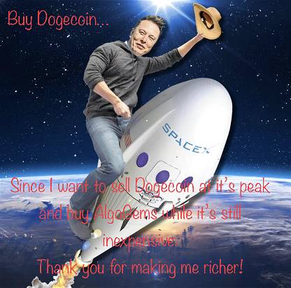 Elon’s Plan to Sell Dogecoin