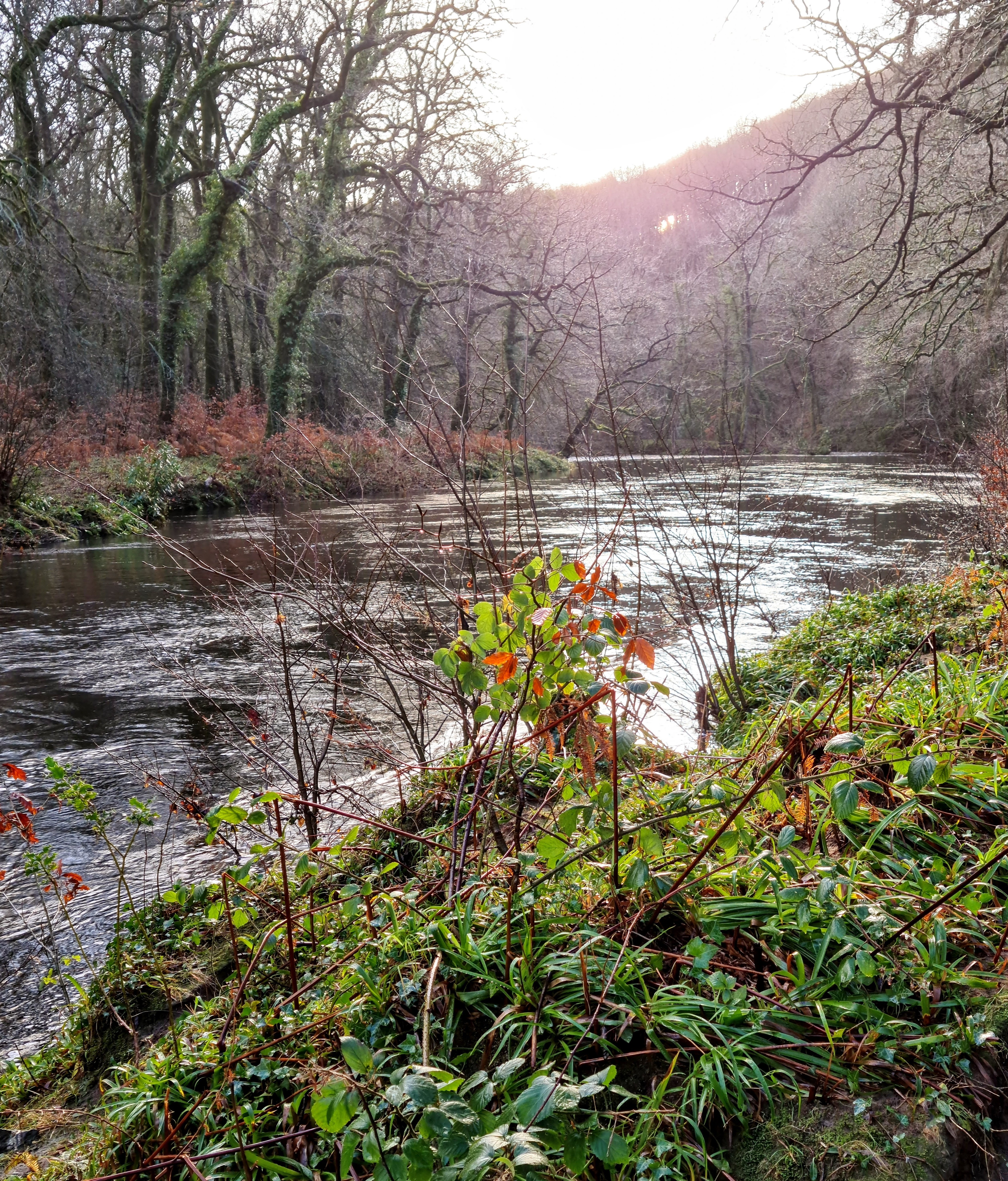 A River Walk NFT on Algorand