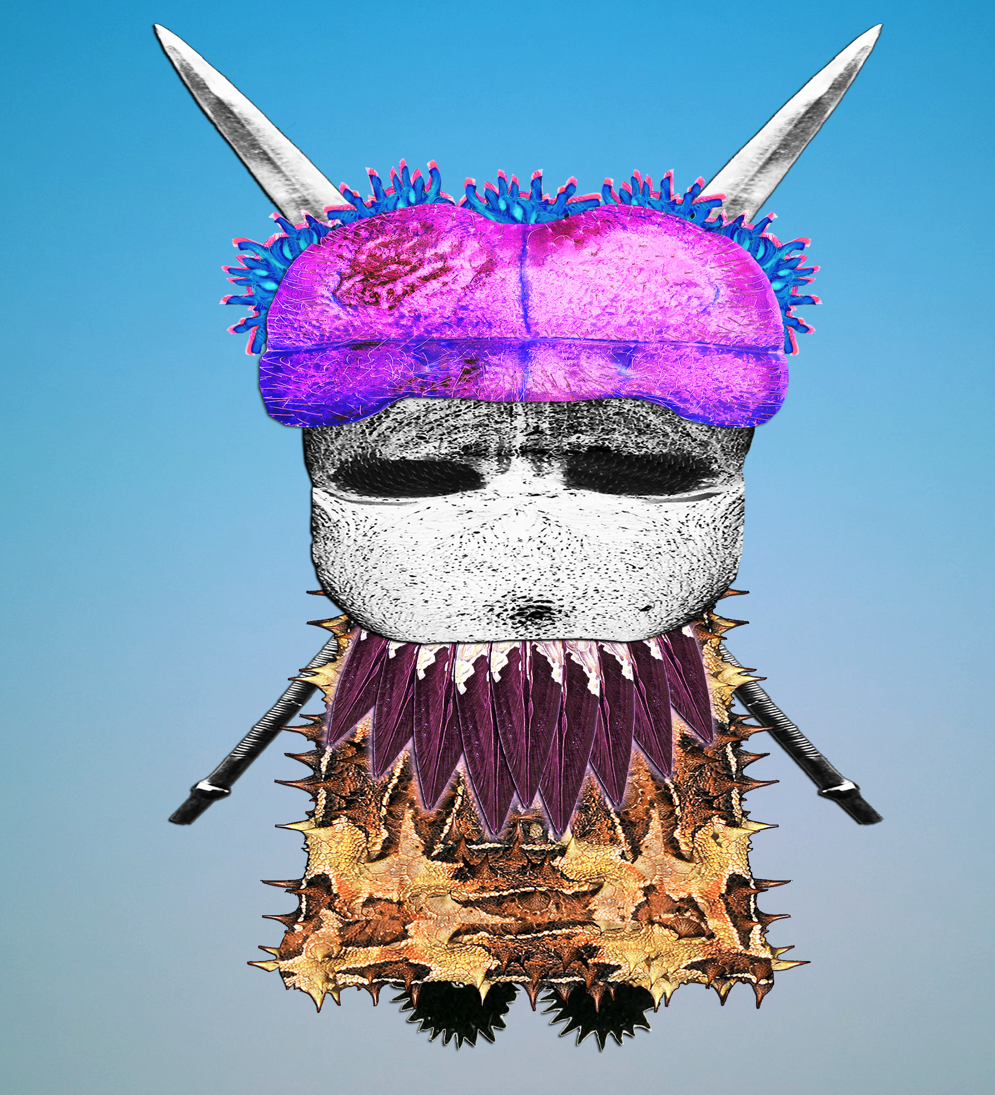 Hopium Warriors #127 NFT on Algorand