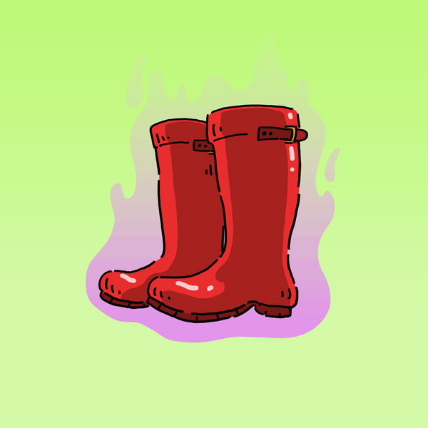 An image of Boots