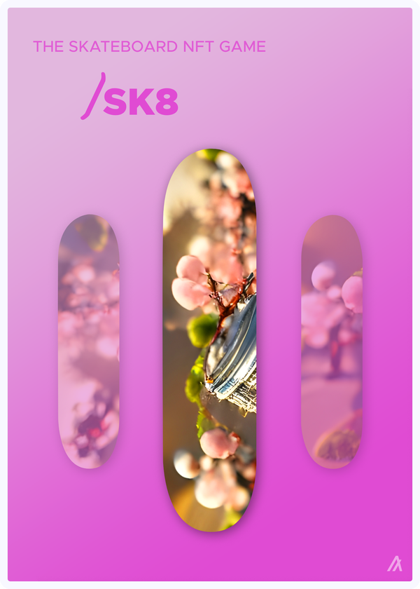 An image of SK8 Deck #024