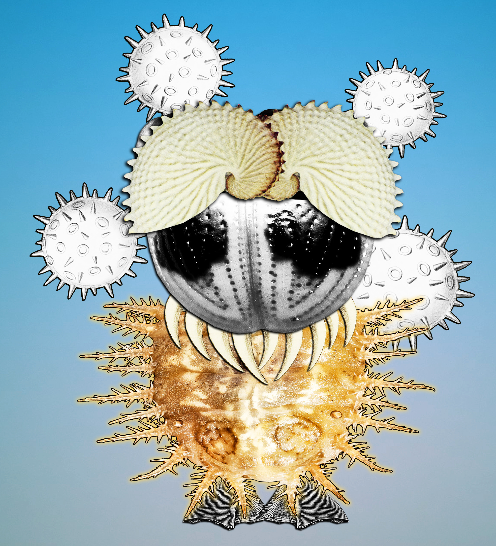 Hopium Warriors #132 NFT on Algorand