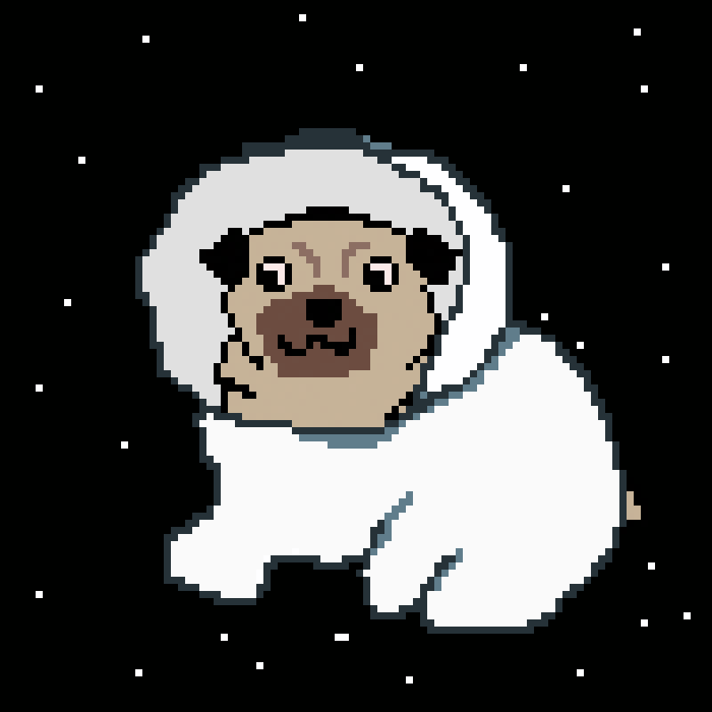 AlgoPug Floats in Space