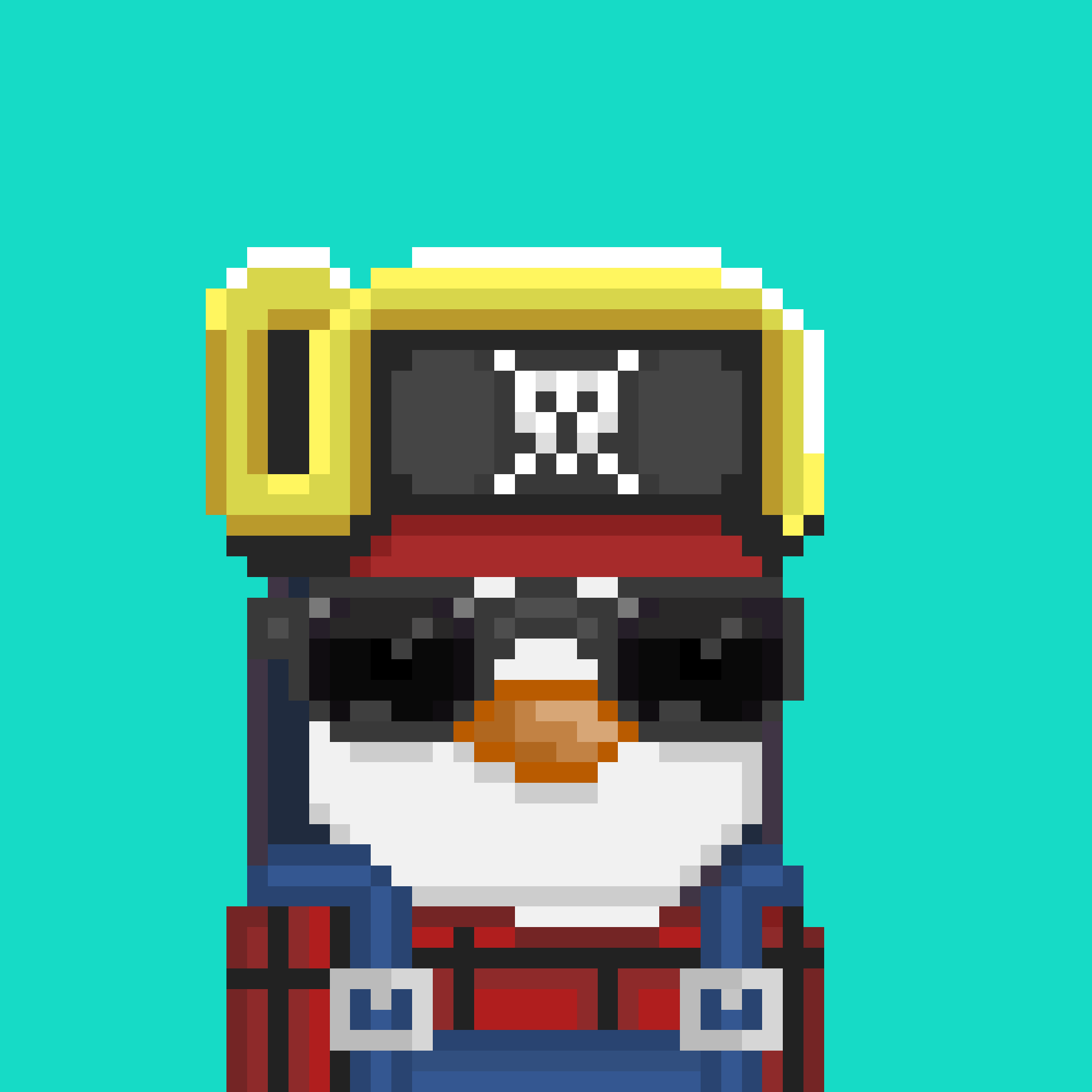 Algo Pengu #1196 NFT on Algorand