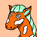 An image of STUPIDHORSE 013