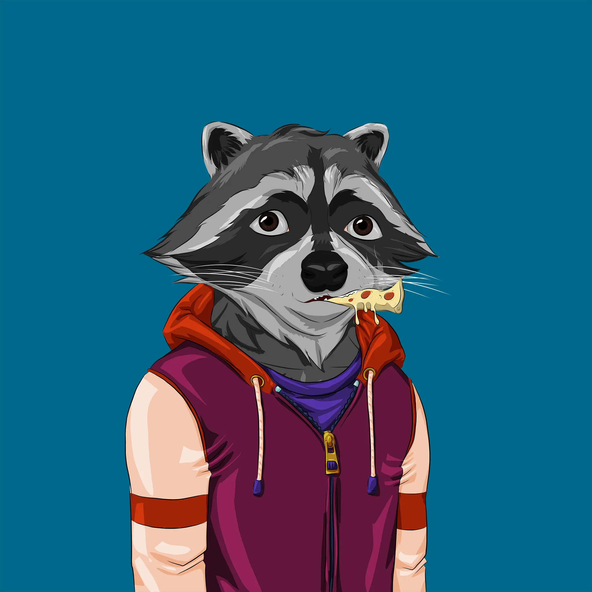 AlgoRaccoon #1441 NFT on Algorand