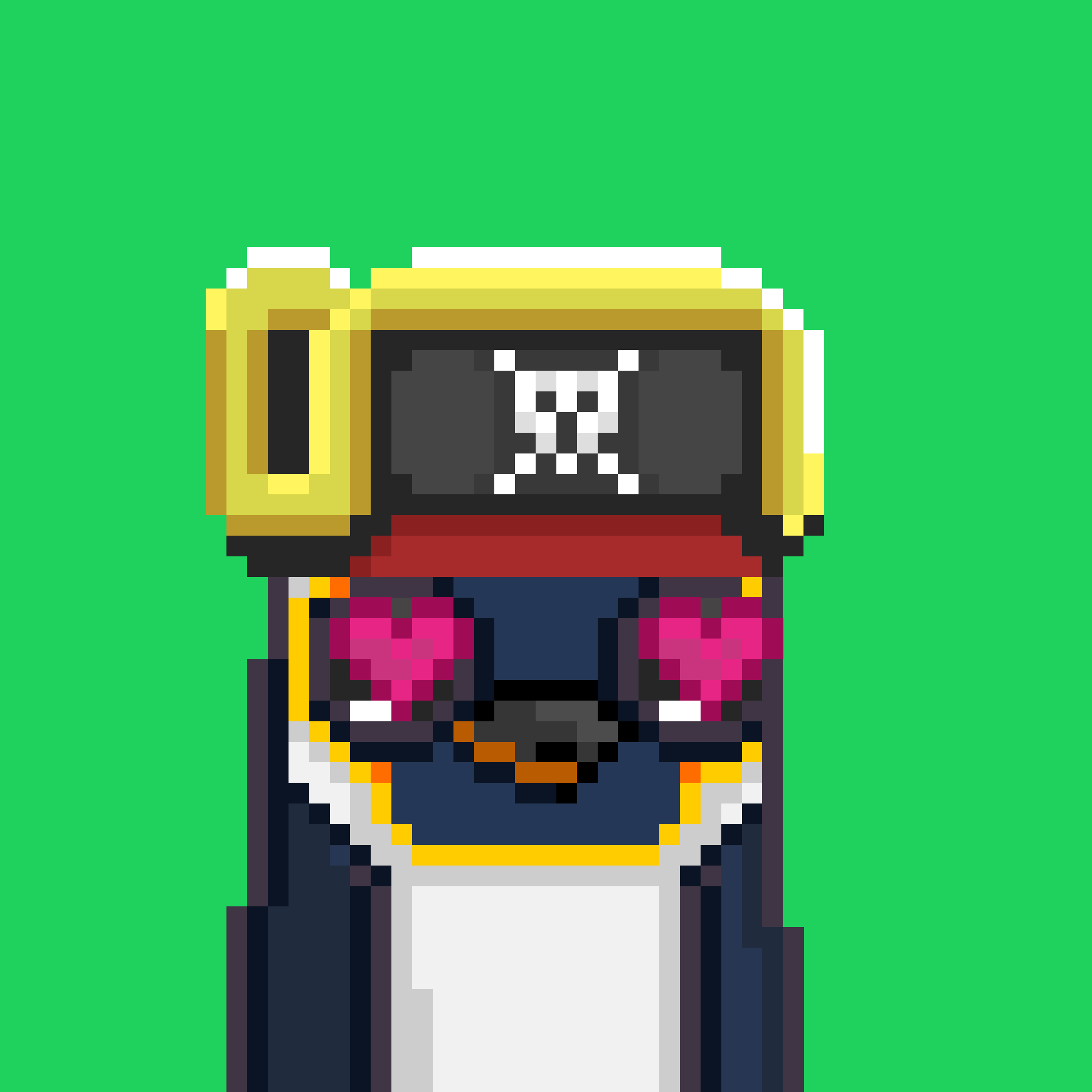 Algo Pengu #1067 NFT on Algorand