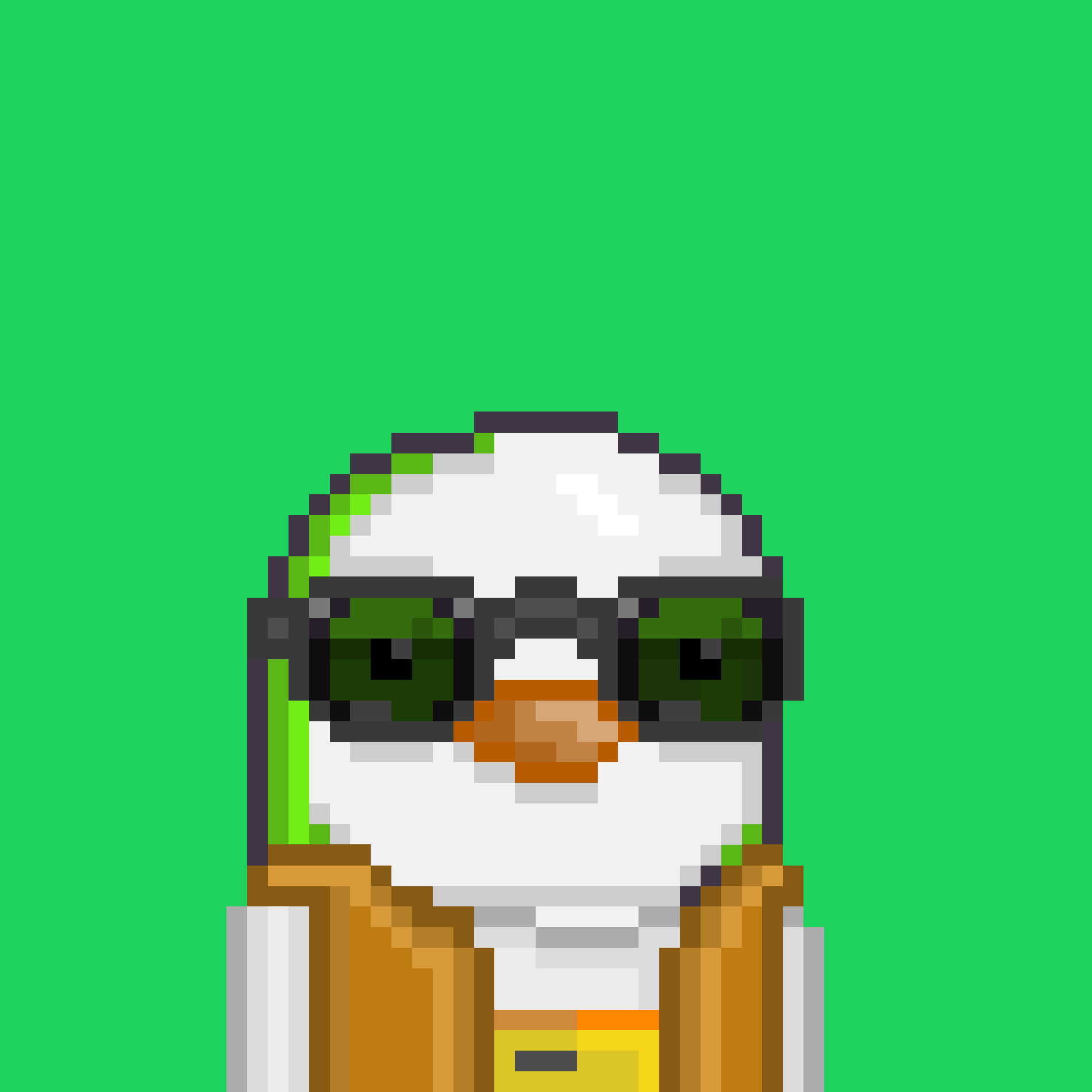 Algo Pengu #342 NFT on Algorand