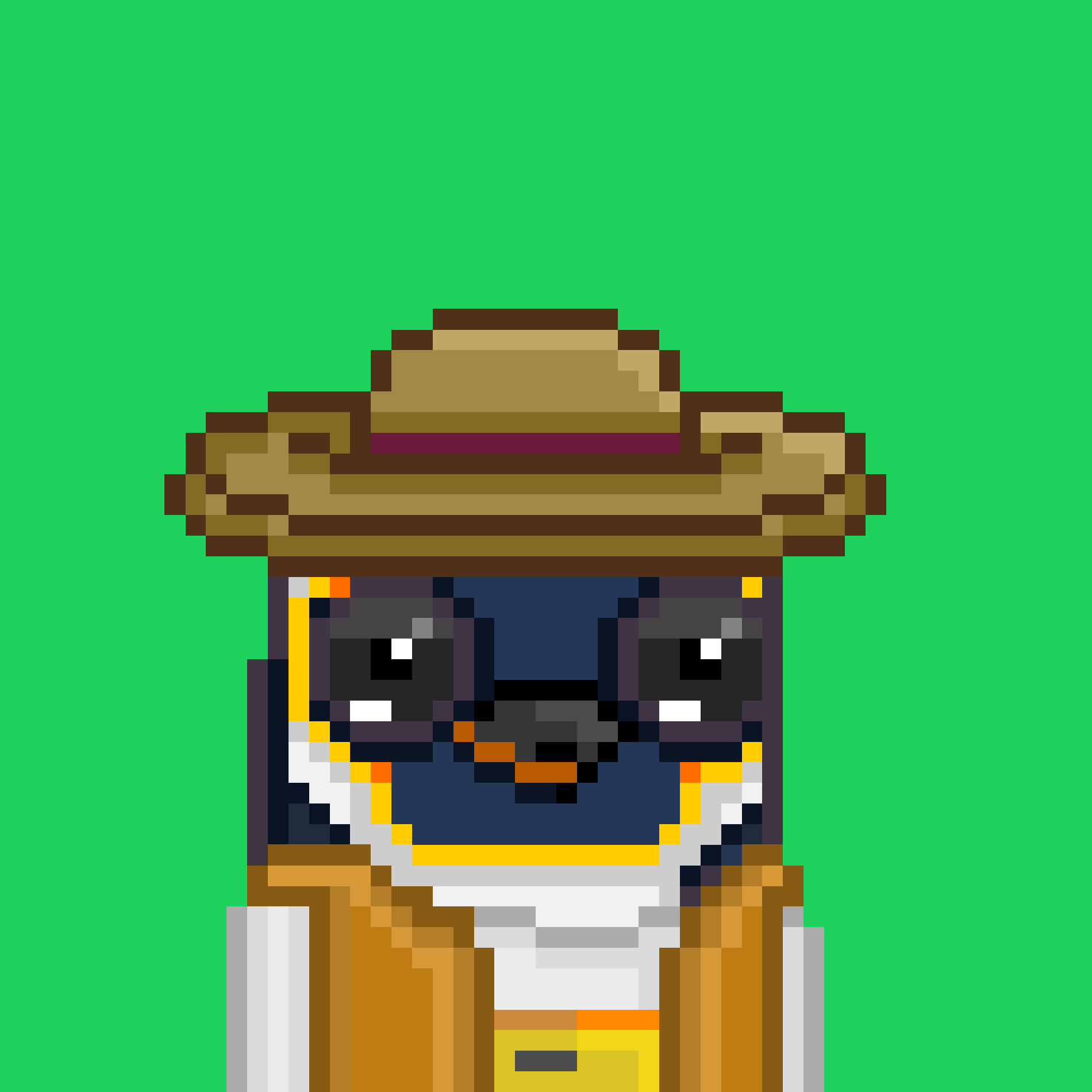 Algo Pengu #941 NFT on Algorand