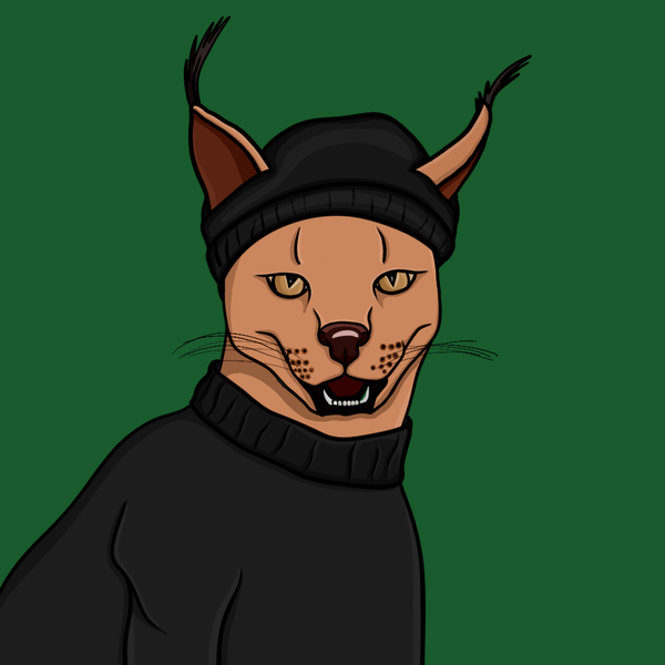 An image of Lince The Cat #11